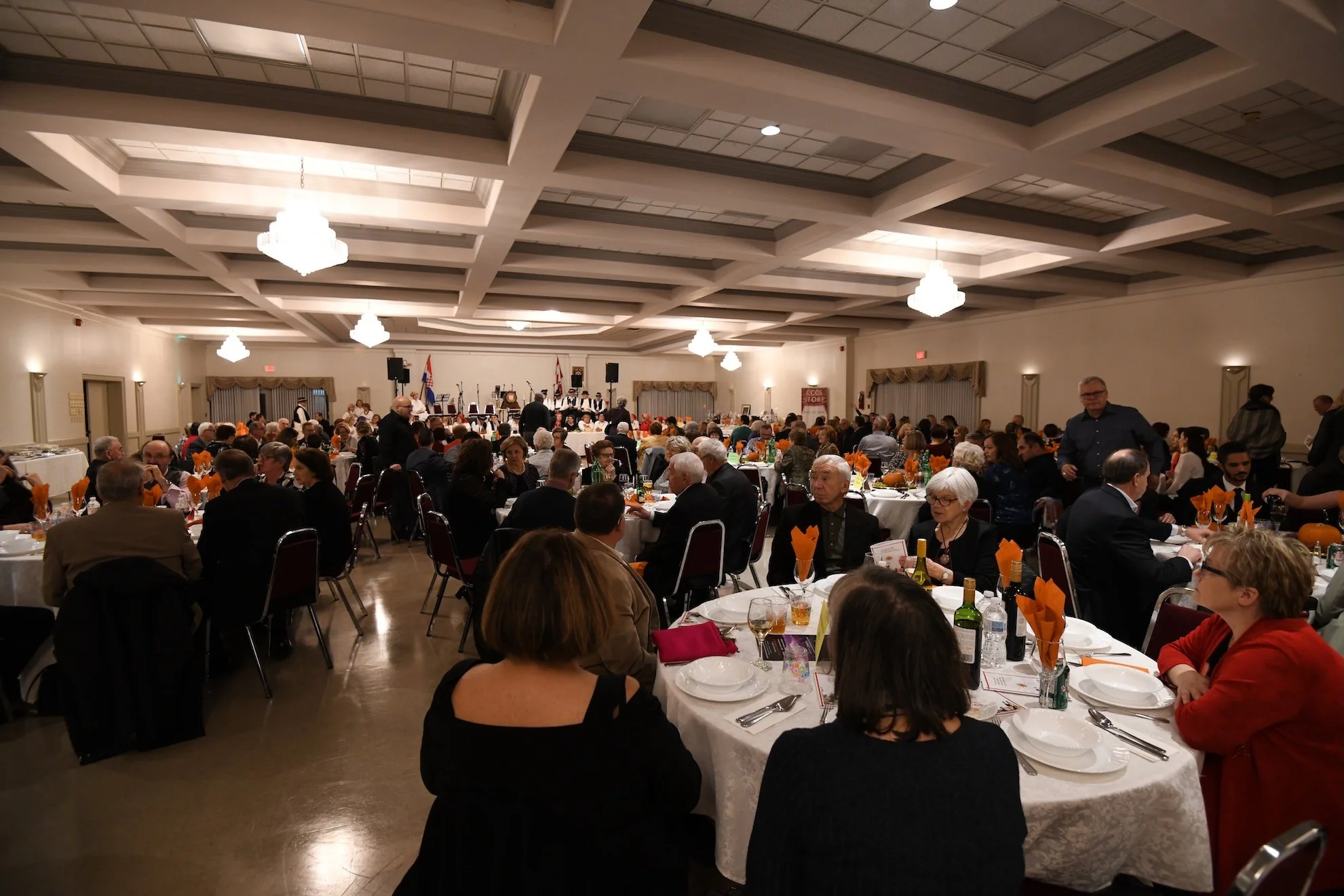 D85_7170.JPG