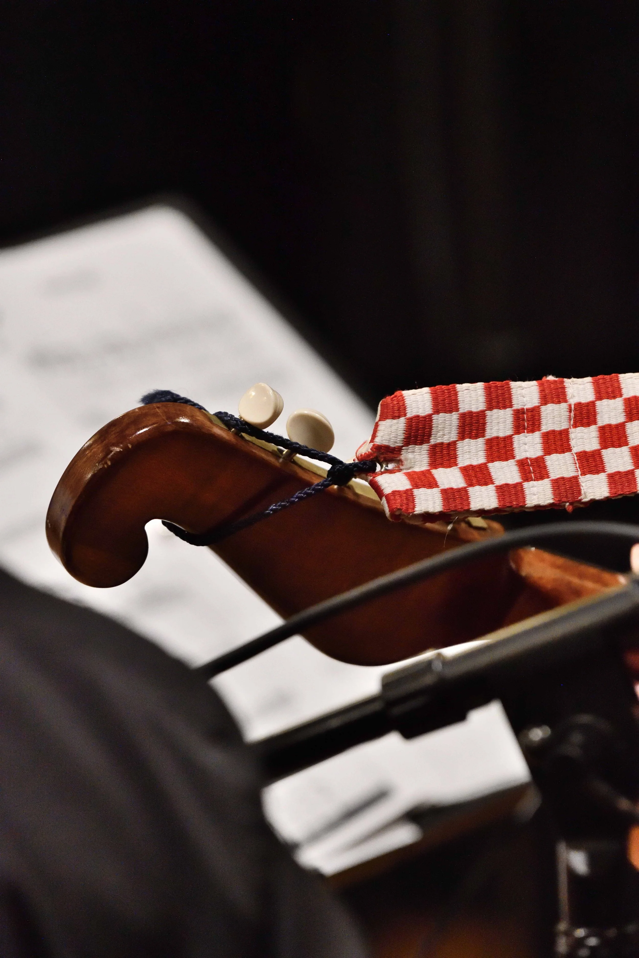 D85_8238_9CCCS The Joy of Christmas121425.JPG