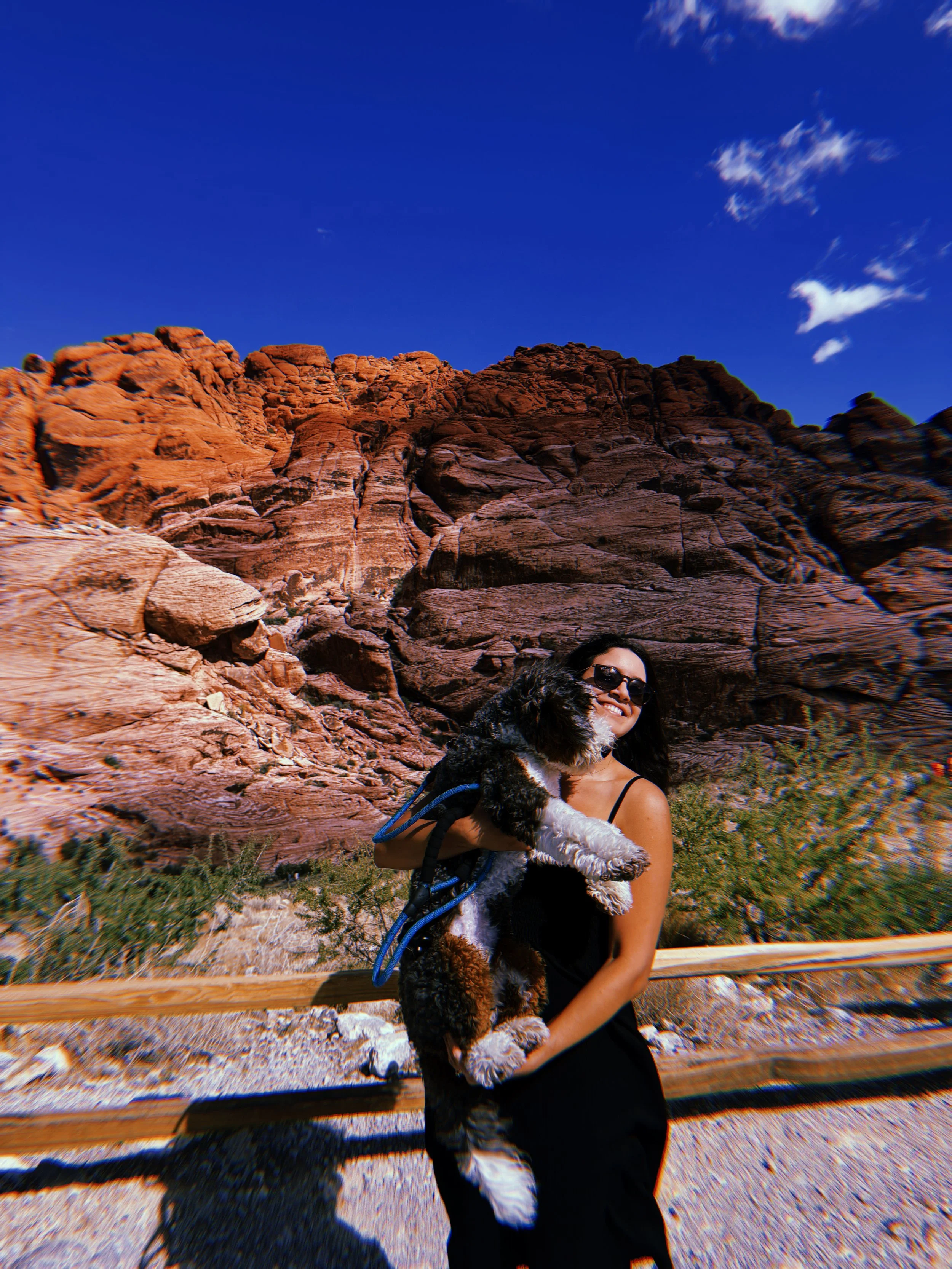 Woman in sunglasses holding a black and white dog in front of a rocky desert landscape under a blue sky.