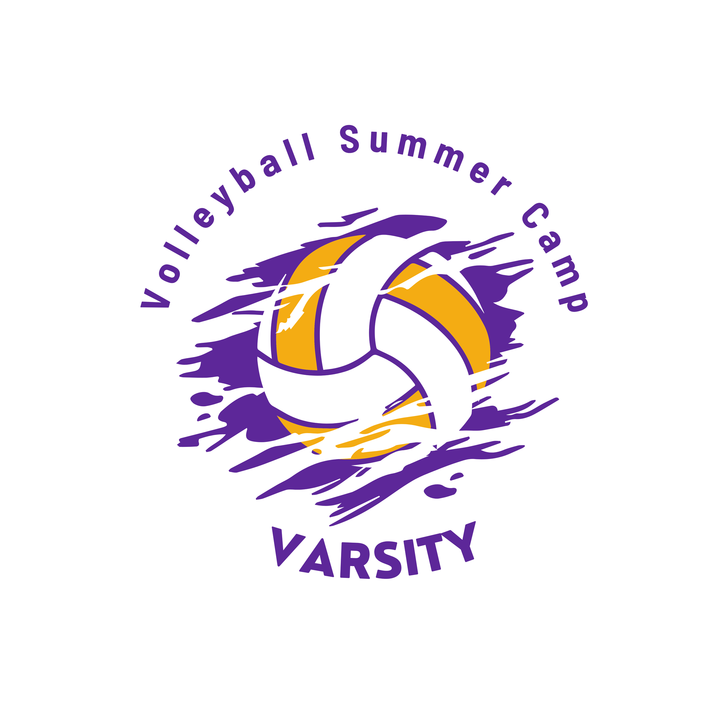 Varsity Volleyball Summer Camp