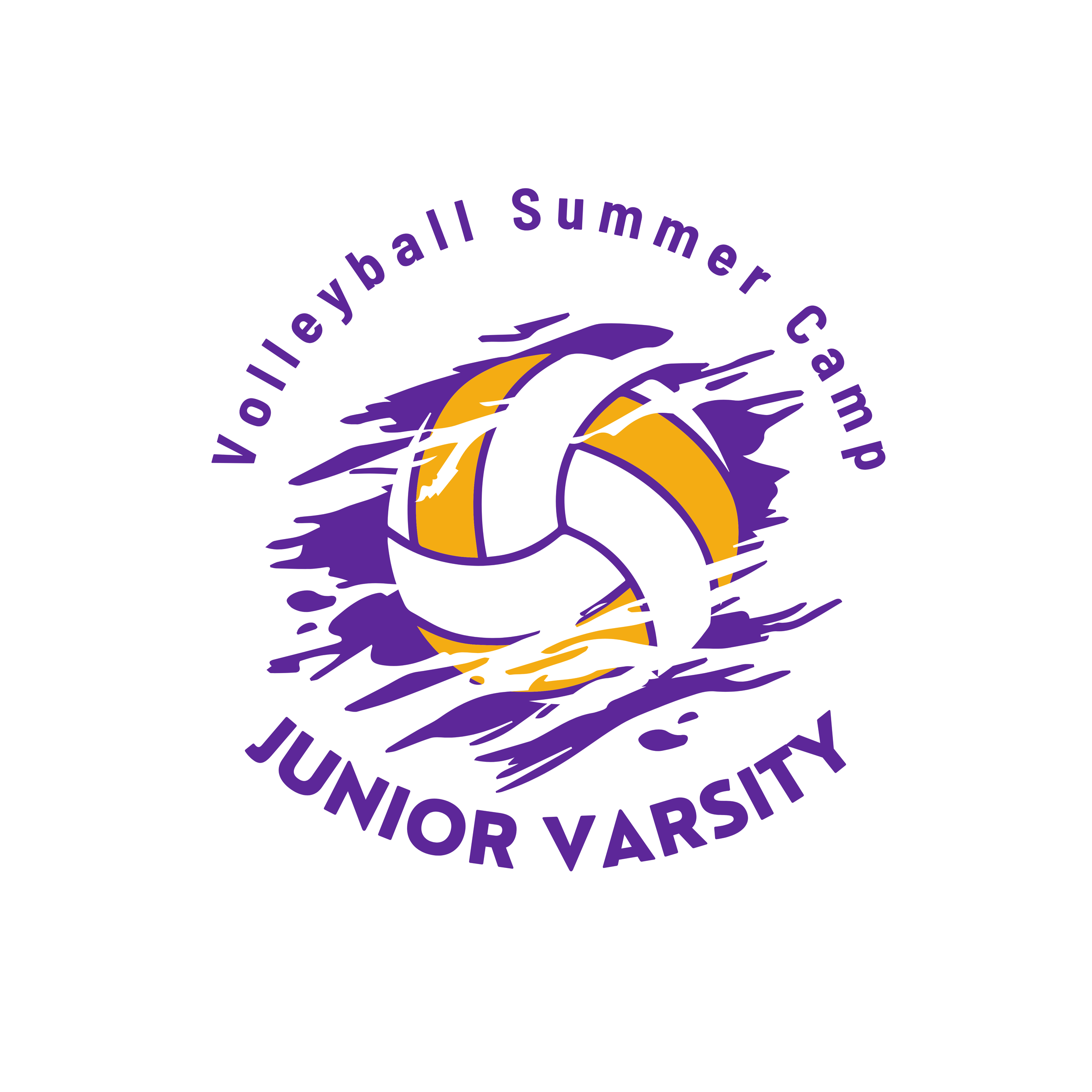JV Volleyball Summer Camp