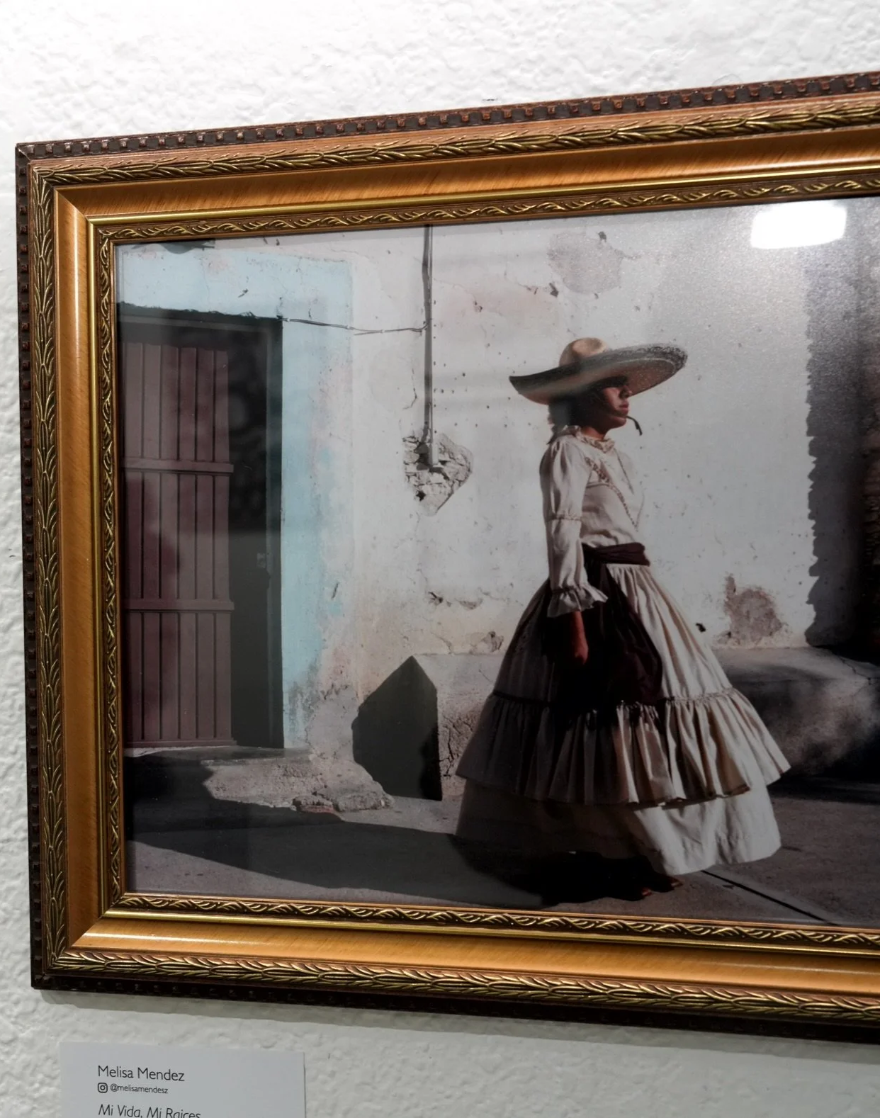 "Mi Vida, Mi Raices" By MELISA MENDEZ