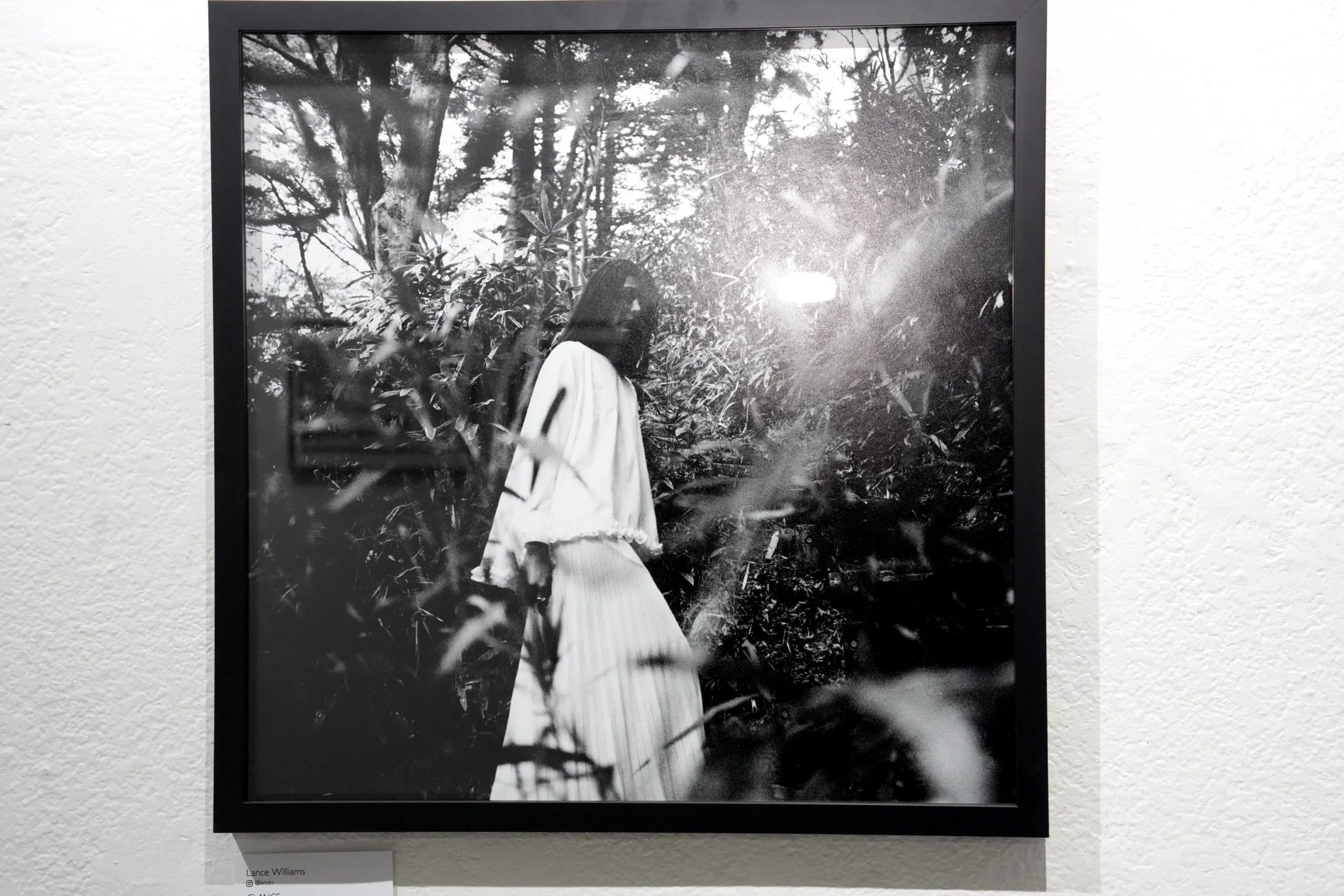 "GLANCE" By Lance Williams