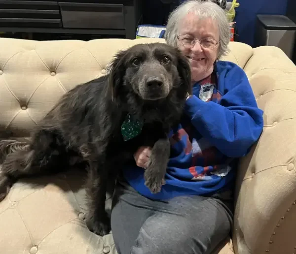 Black furry dog snuggling with smiling elderly woman in a Santa sweatshirt sitting on a couch