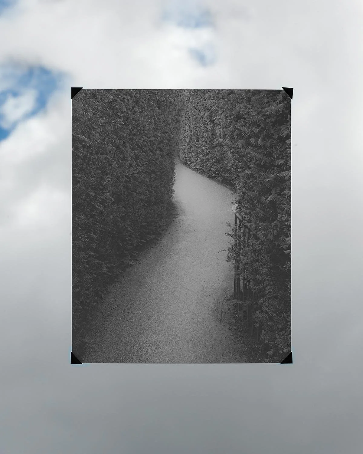 Black and white photo of a narrow path or stream surrounded by dense trees and bushes, with a small metal gate on the right side.