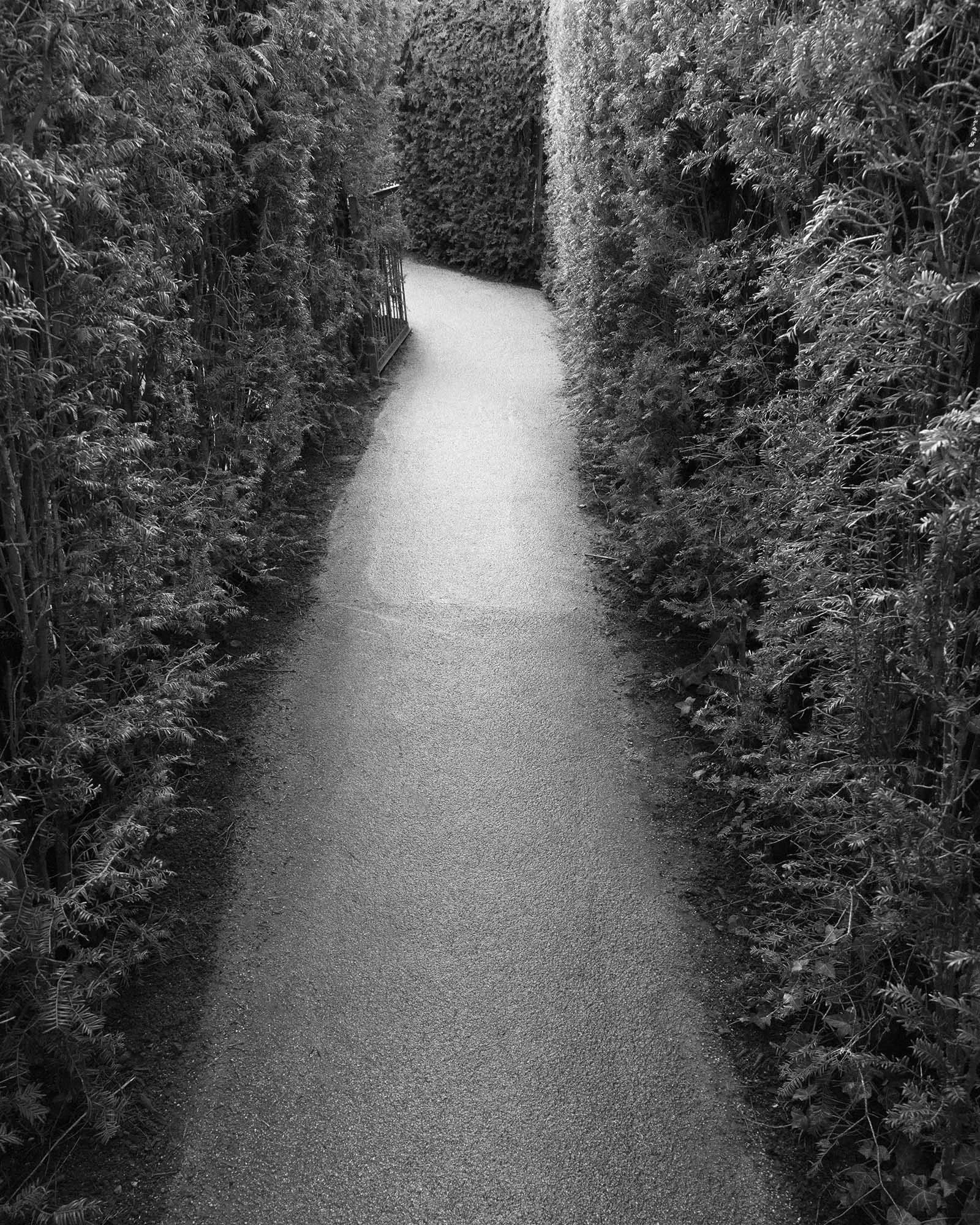 A paved pathway surrounded by tall, dense bushes on both sides, with a small gate visible on the left side of the path.