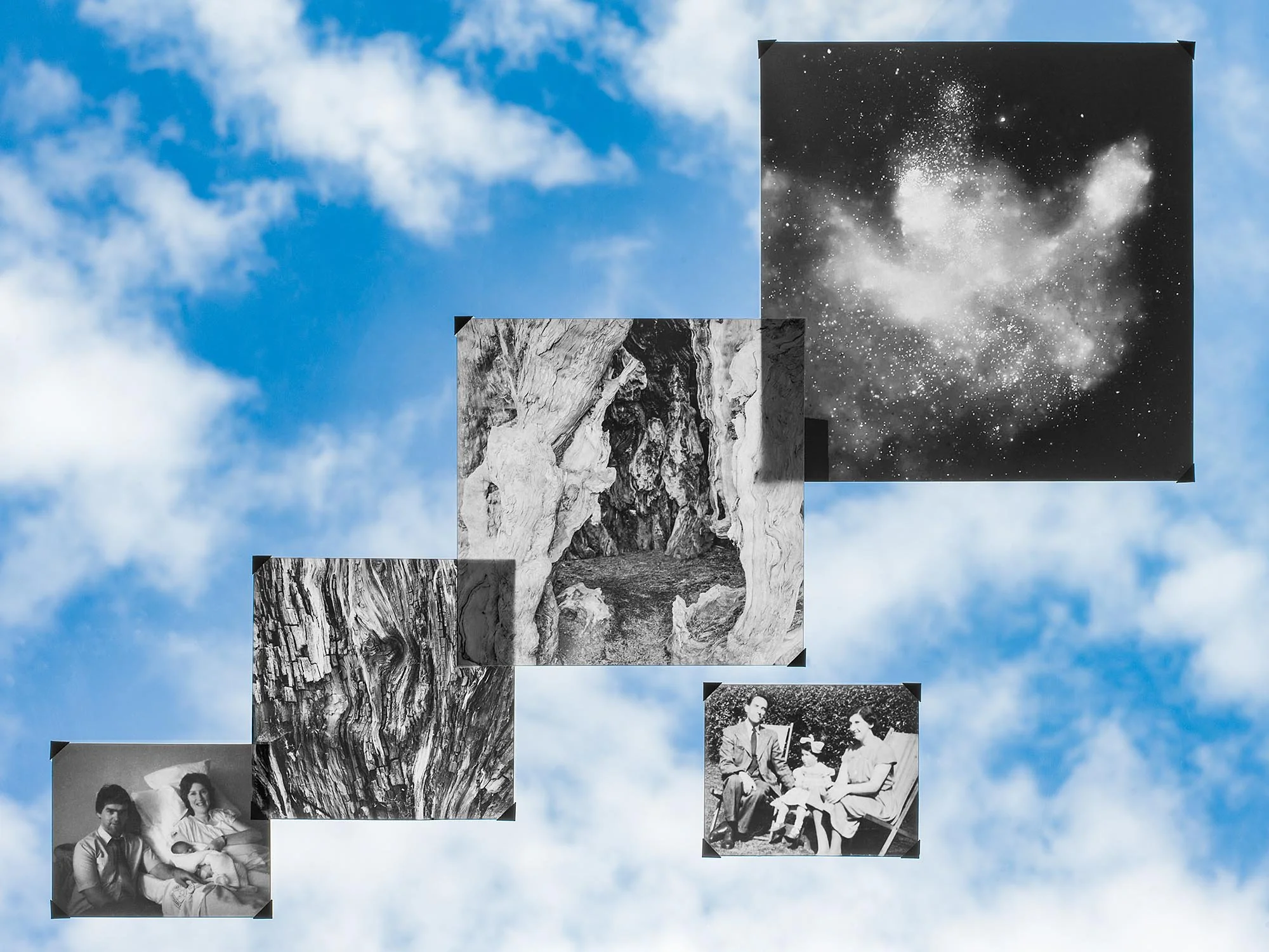 Collage of five black and white photographs against a cloudy sky background, including images of a galaxy, tree bark, a forest, and family portraits.