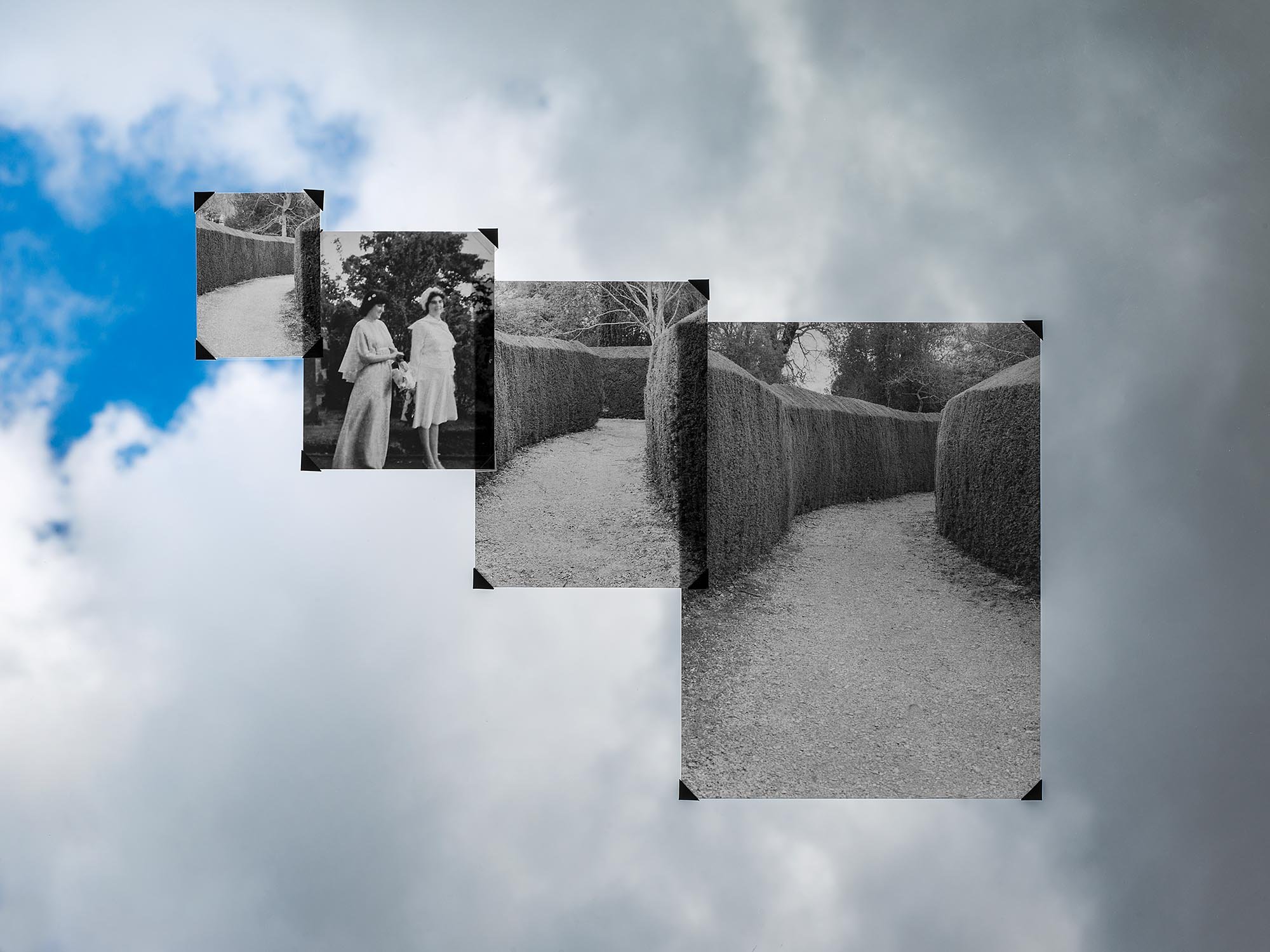 A collage of four black-and-white photographs of a nature path surrounded by tall, manicured hedges, with a cloudy sky background.