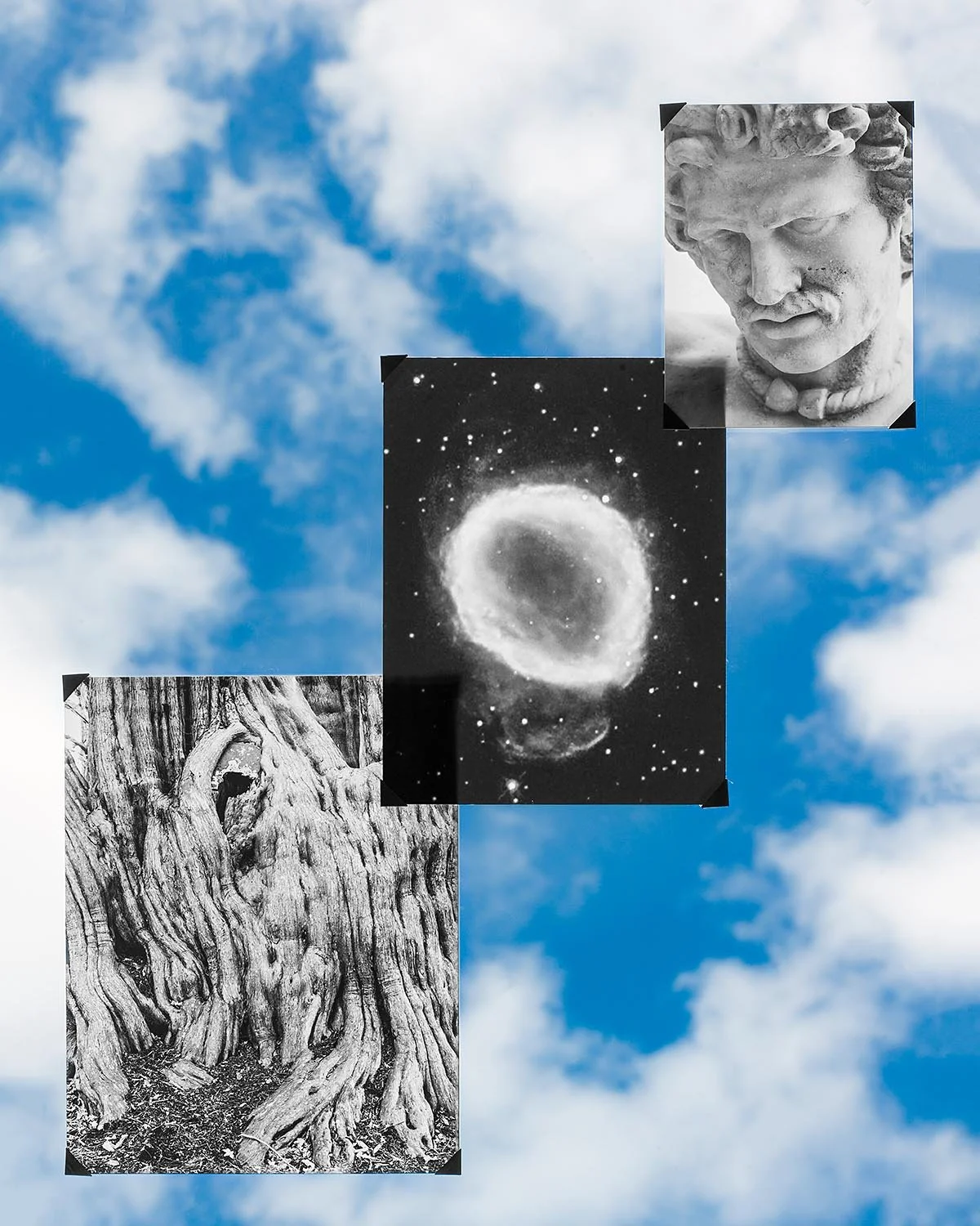 Collage of black-and-white photographs and illustrations on a cloudy sky background. Items include a close-up of a tree trunk, a bust sculpture of a man with a mustache, and a nebula or galaxy in space.
