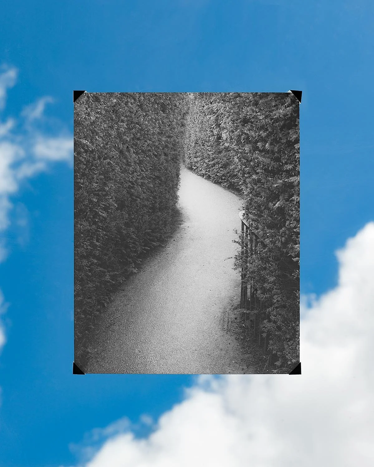 Photograph of a winding path through dense bushes, depicted in black and white, displayed on a billboard sky backdrop with blue sky and clouds.