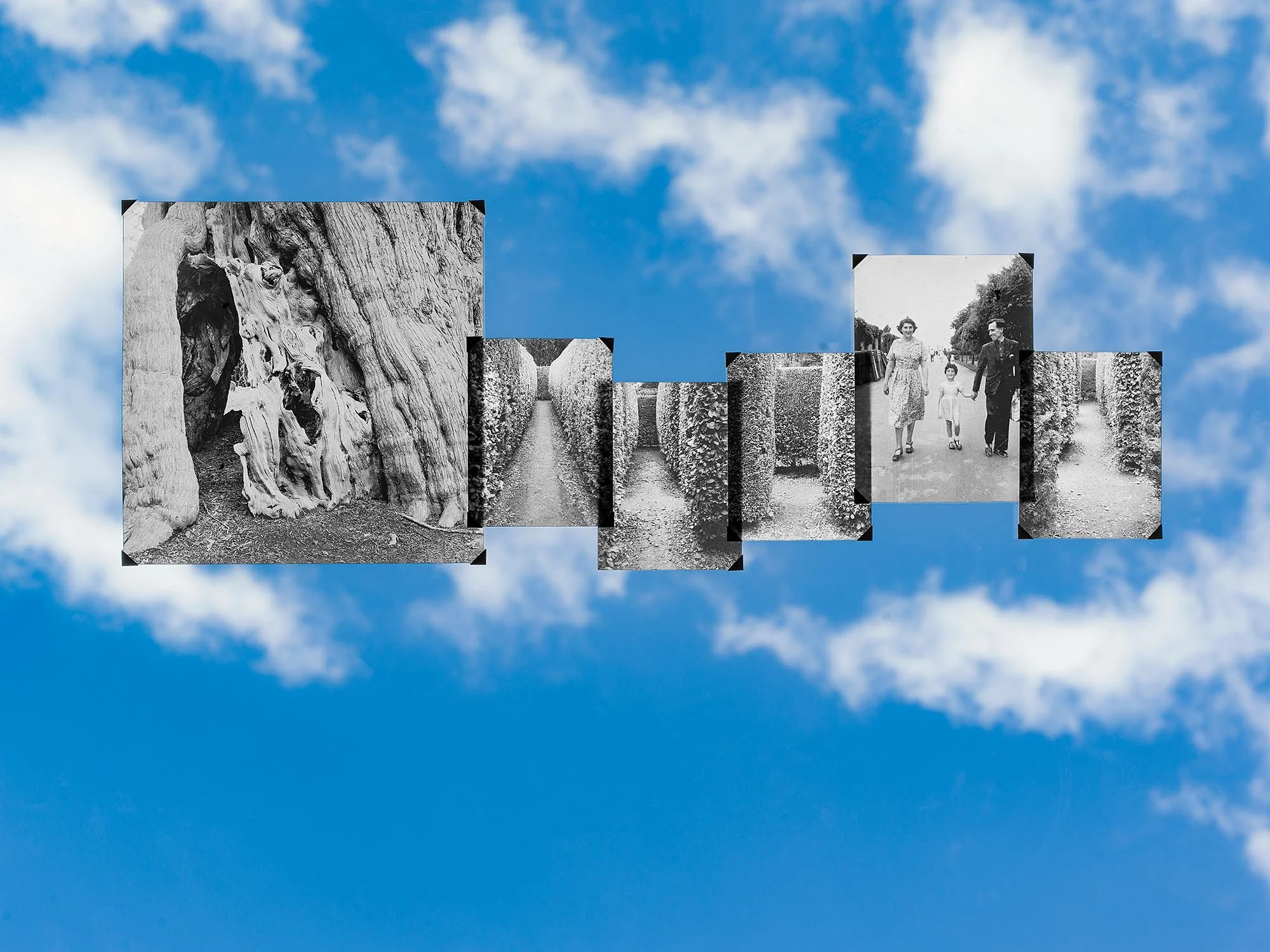 A collage of black and white historical photographs arranged in a horizontal line, mounted on a blue sky background with white clouds. The photos depict various scenes including a tree trunk or roots, a narrow pathway lined with bushes, and people wa