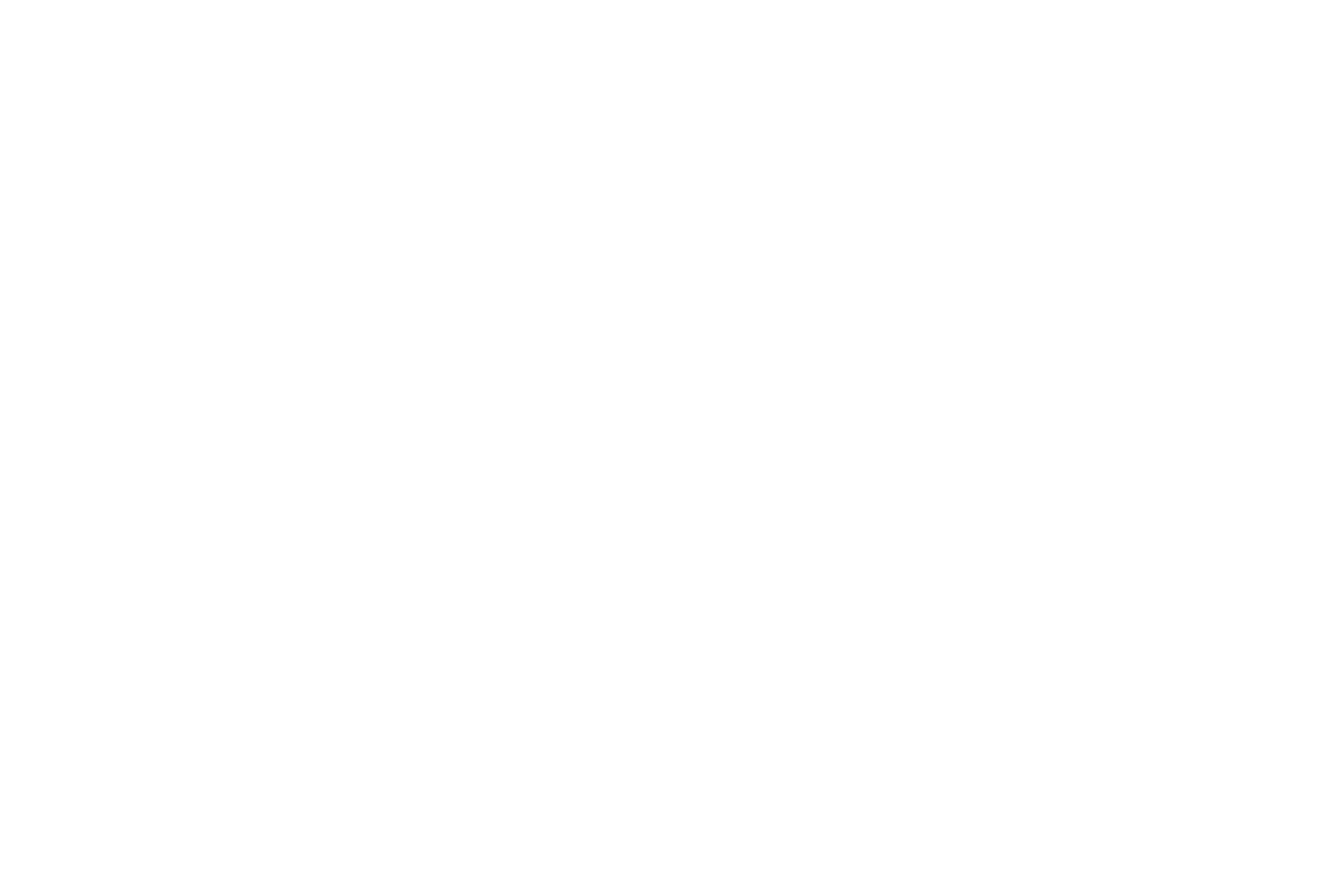 Logo for Bisher's Quality Meats with text in white on a black background.