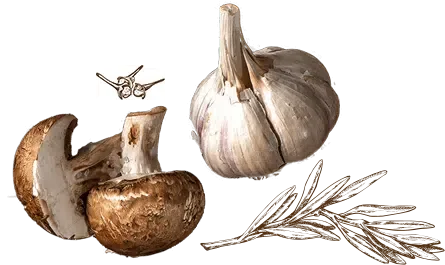 Garlic bulb and sliced mushroom with a mushroom stem and garlic cloves.