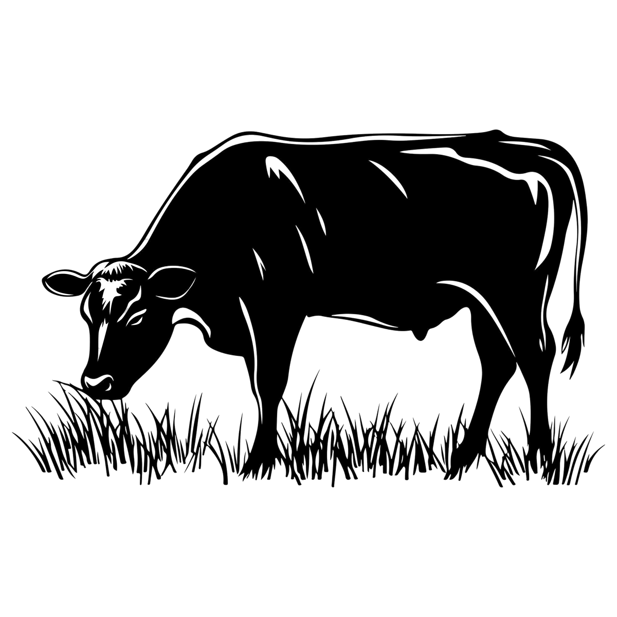 Black and white illustration of a cow grazing on grass.