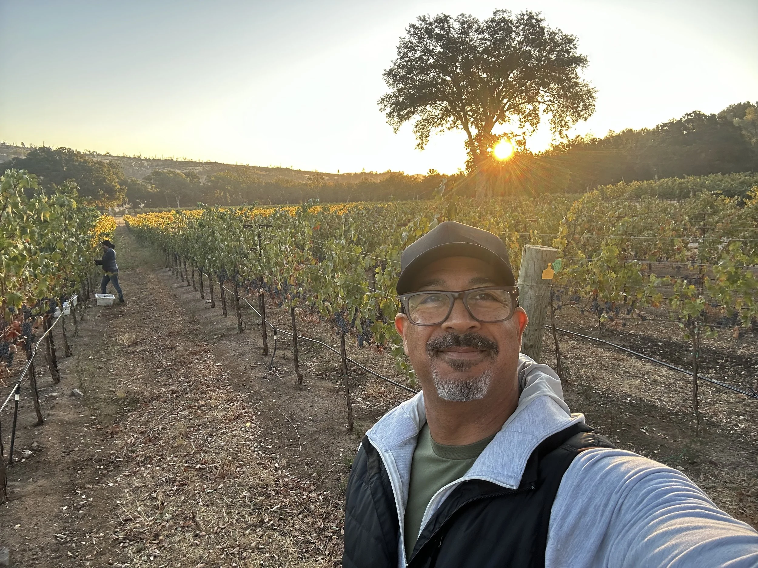 A man taking a selfie in a vineyard at sunset with another person working among the grapevines in the background.