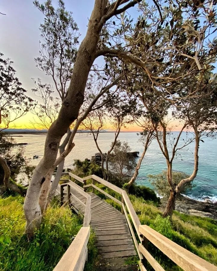 Wooden pathway along green grass and trees leading to a beach at sunset with calm water and a colorful sky.