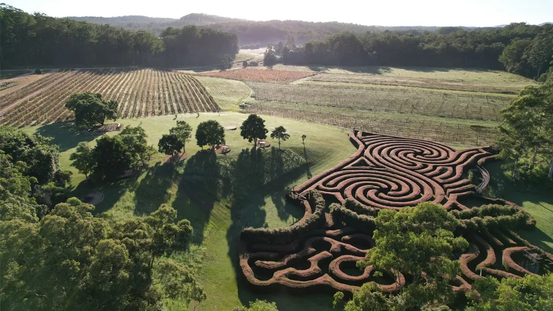 Bago Maze &amp; Wine