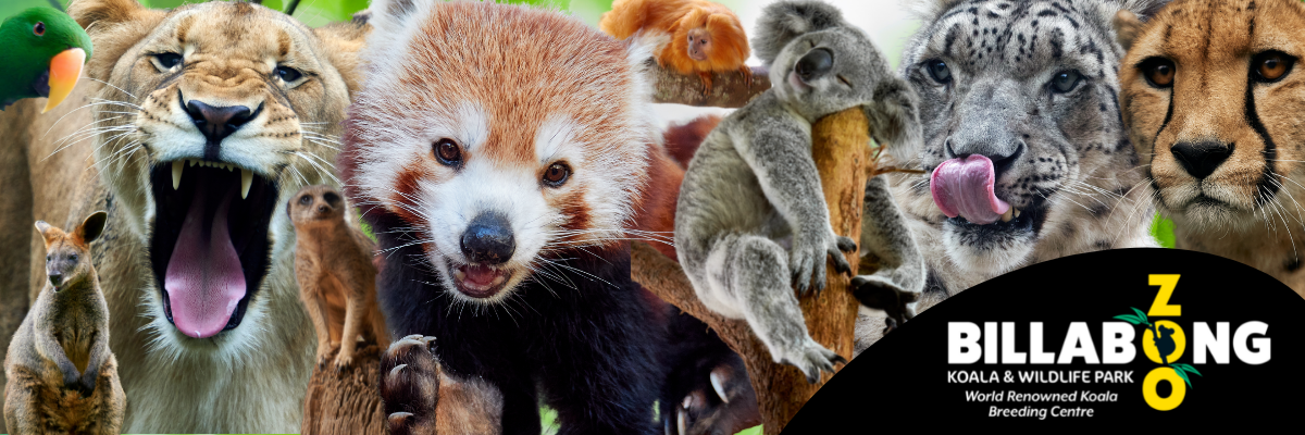 Billabong Zoo
