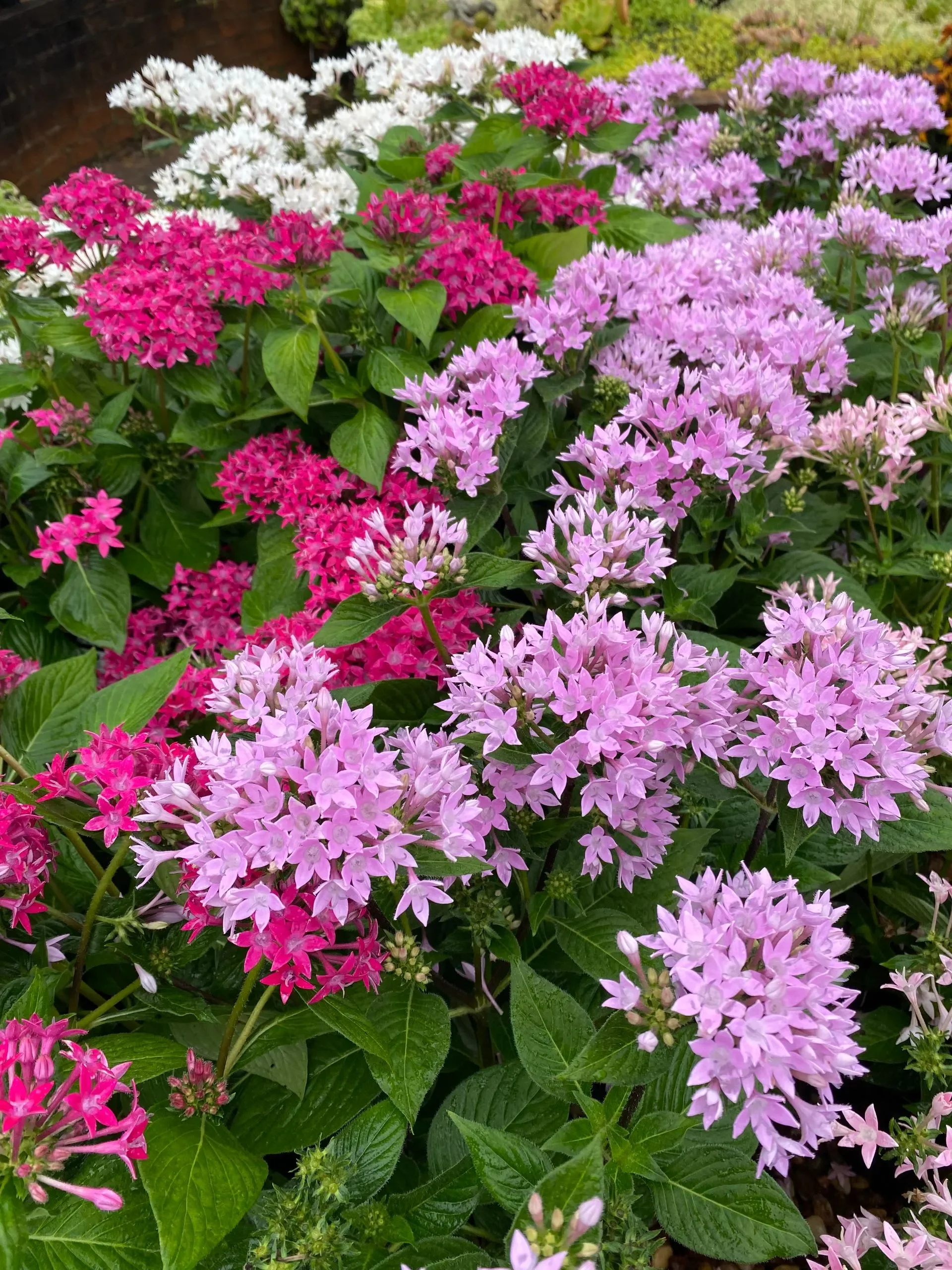 IMG_5878-1920w.webp