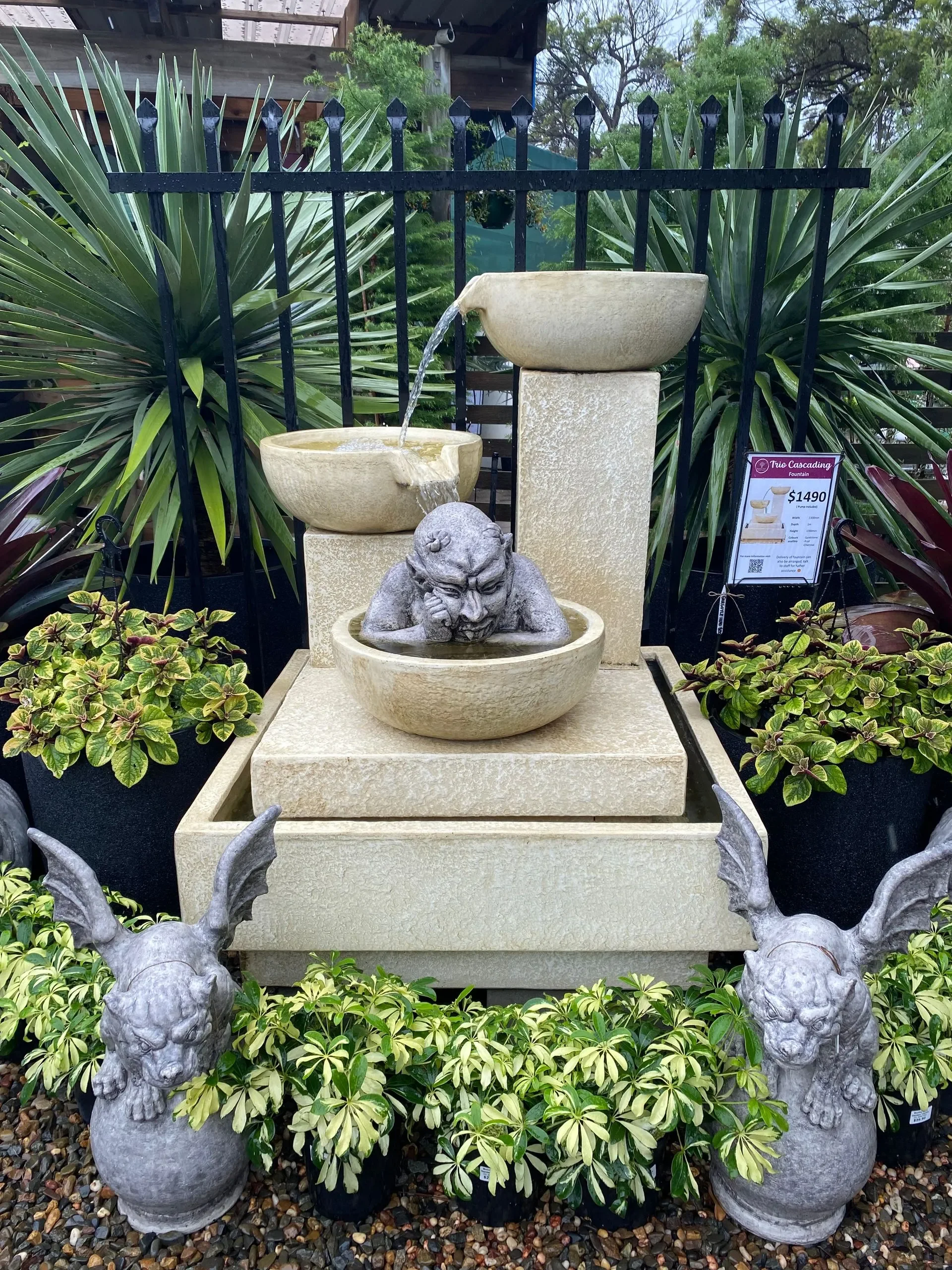 IMG_5897-1920w.webp