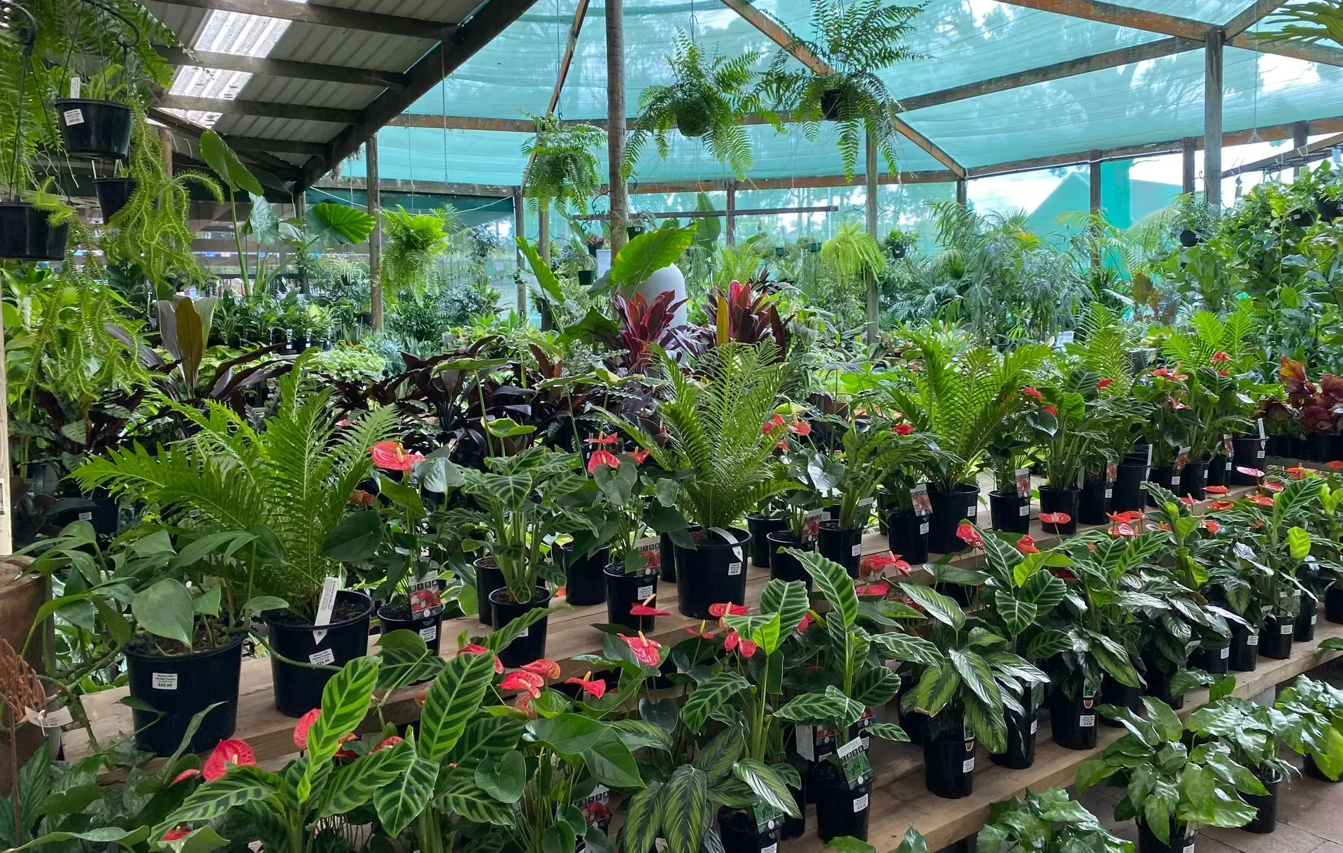 Bonny Hills Garden Centre