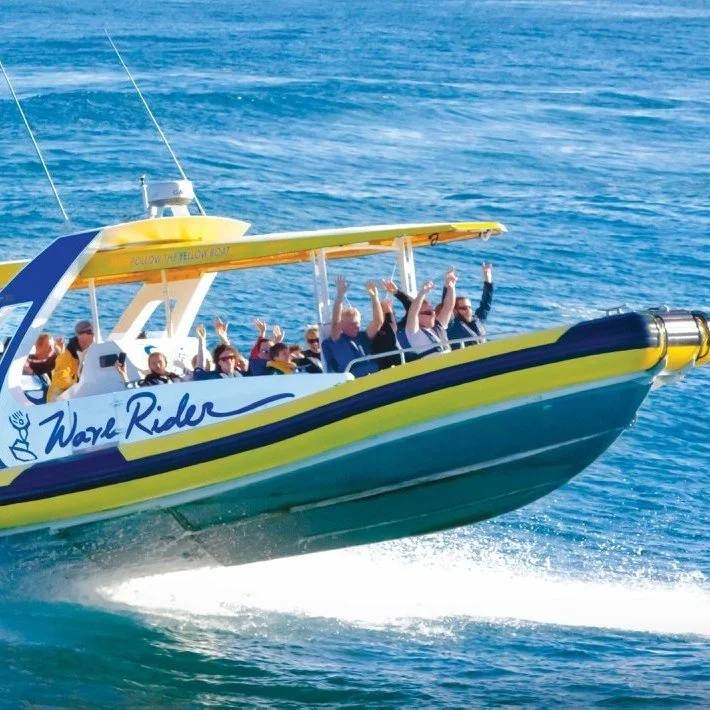 wave rider port jet.jpg
