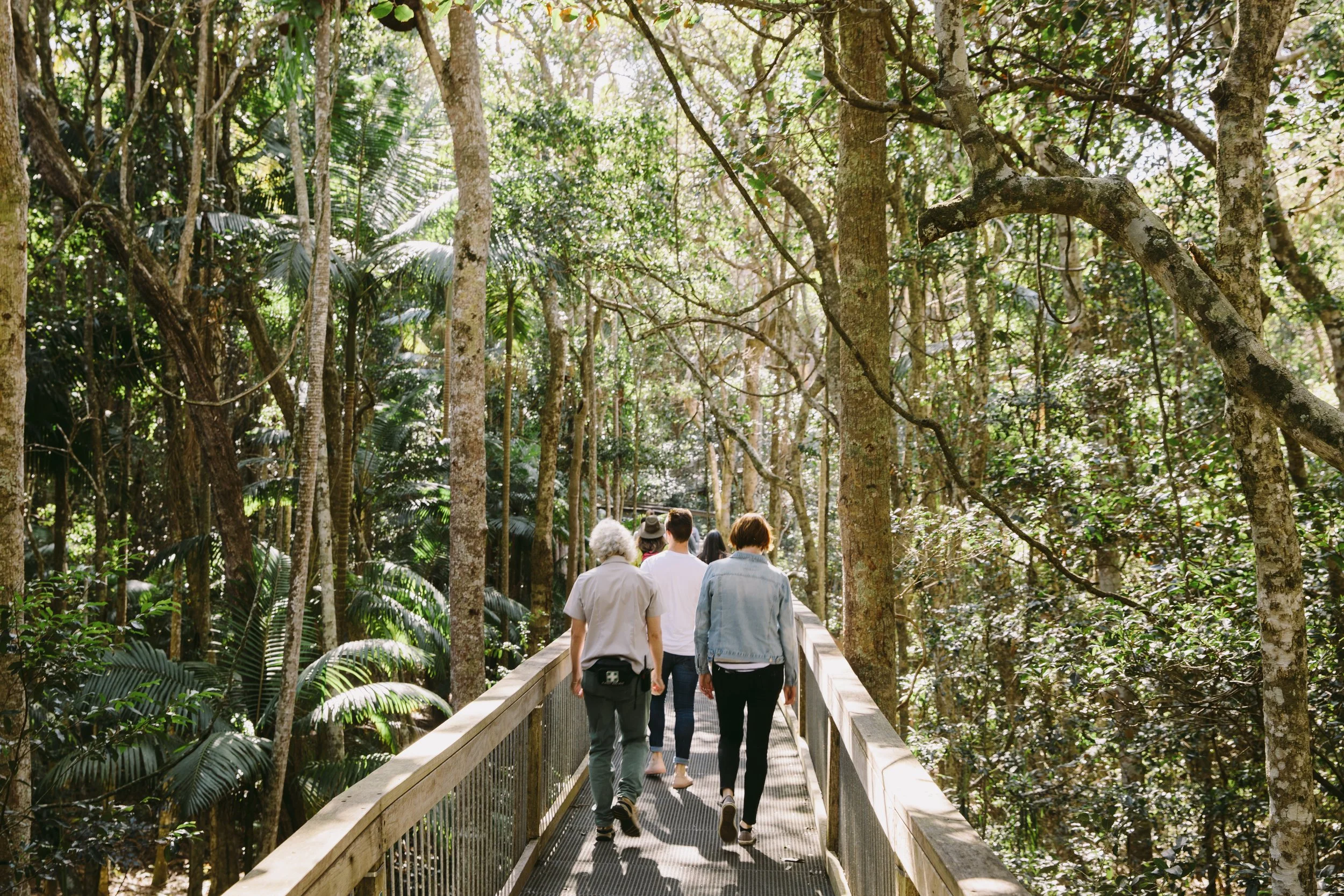 Sea Acres Rainforest boardwalk Remy Brand 367.jpg