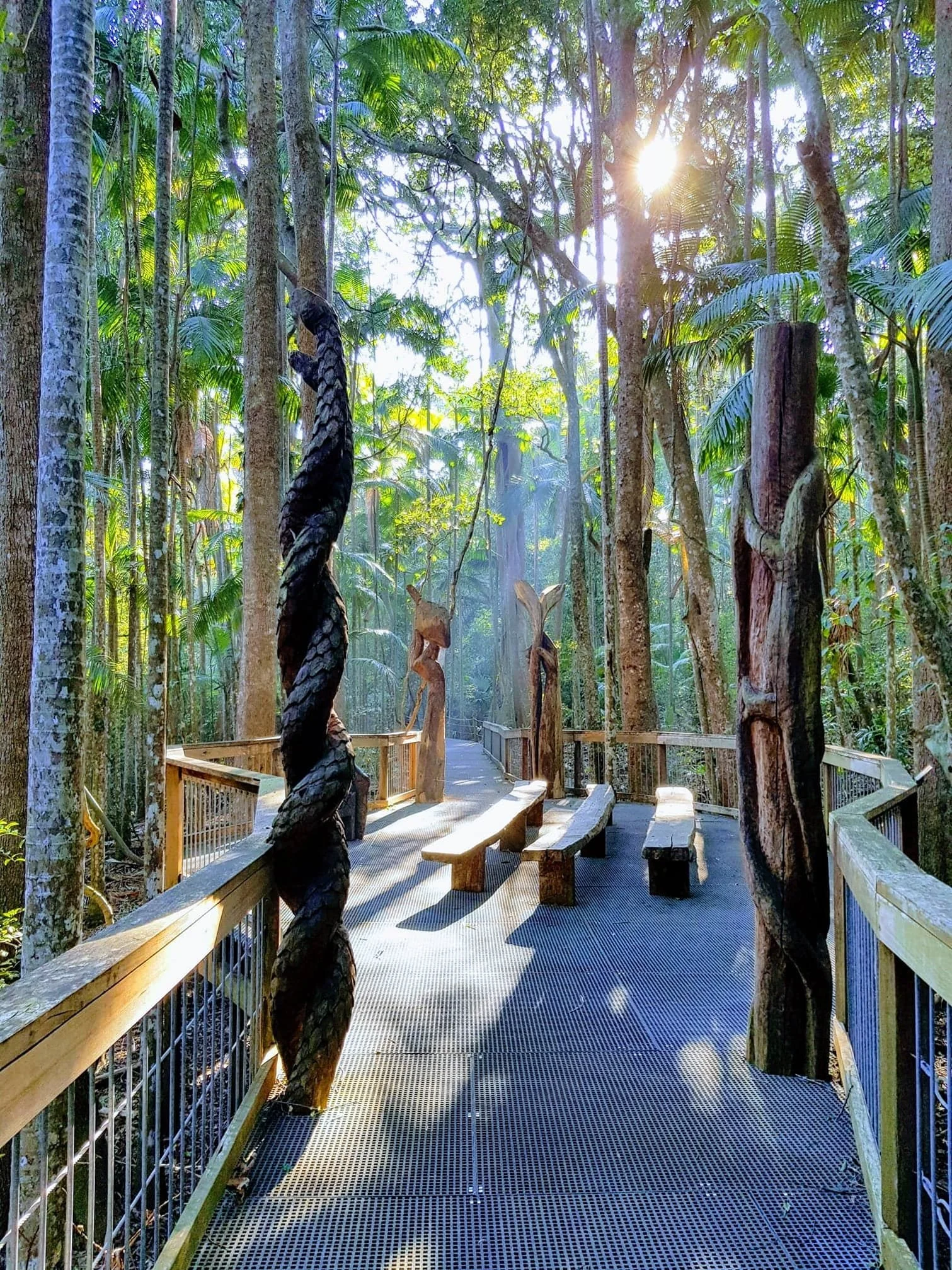 Sea Acres Rainforest Centre
