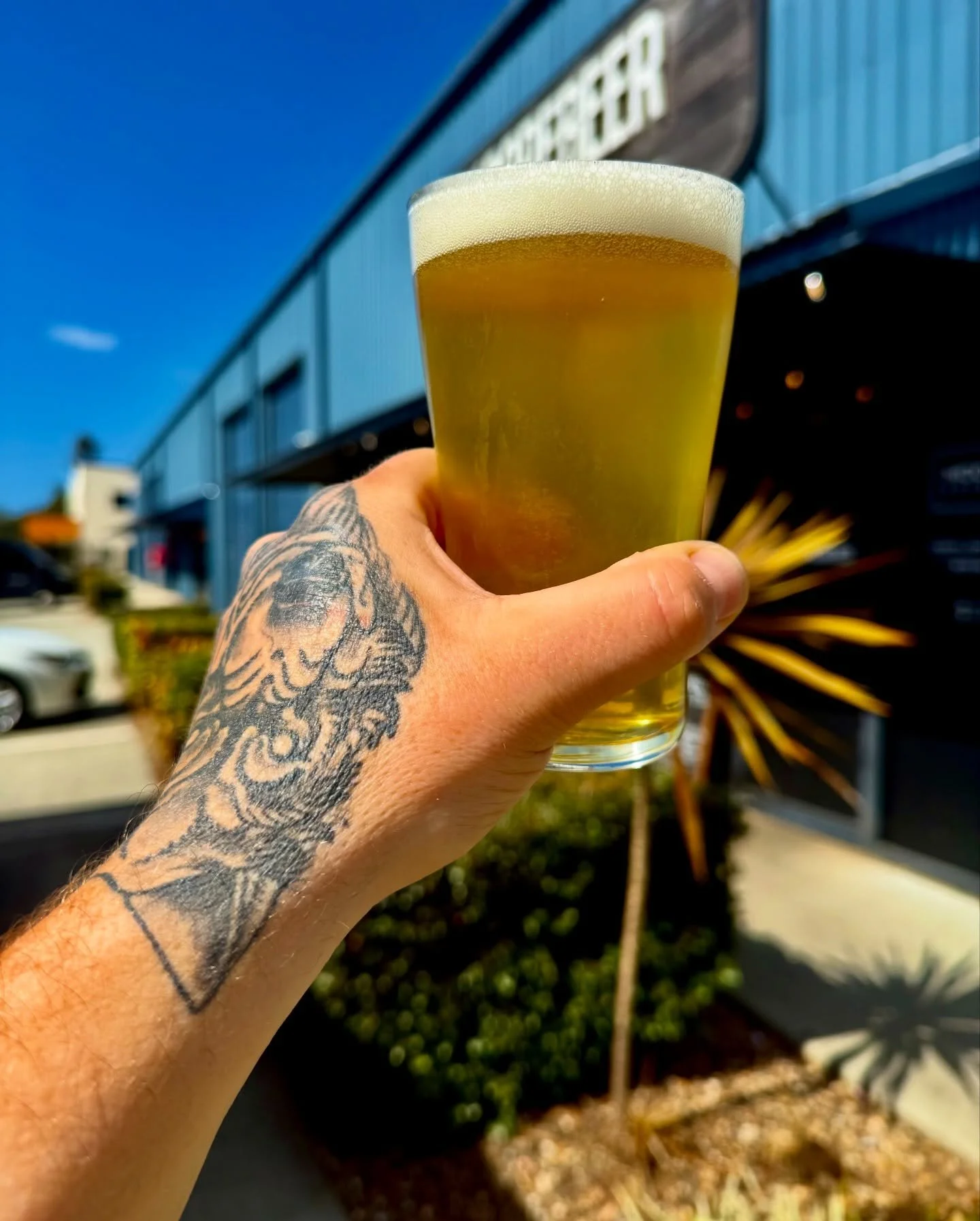 moorebeerbrewing_1764979120_3781241380028015038_1439687677 (1).jpg