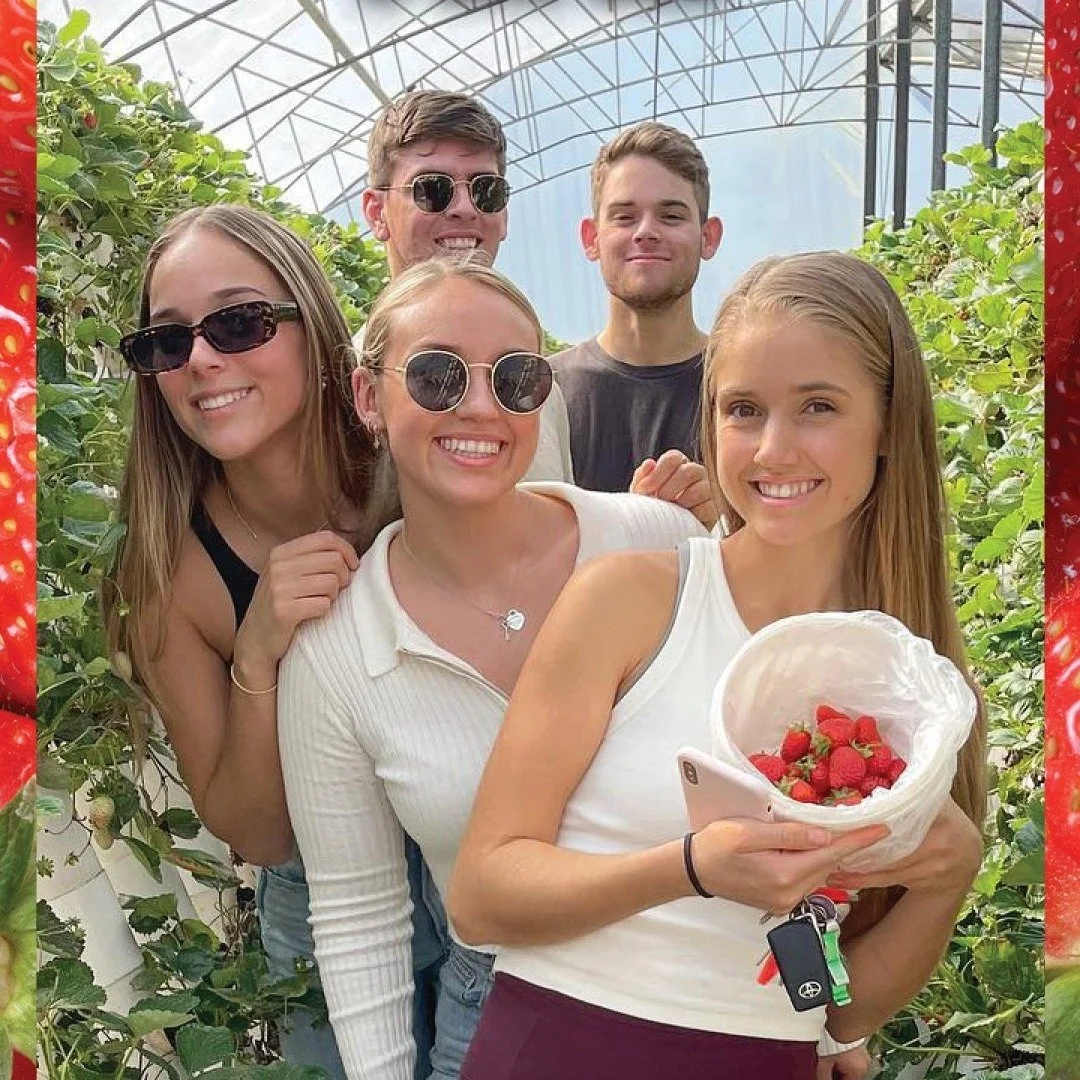 Hands up if you've ever eaten a strawberry straight off the plant while the sun shines and life is genuinely perfect 🍓☀️ That's exactly the vibe at @ricardoestomatoes &amp; Strawberries, just 10 mins north of Port Mac's CBD. Free entry, pick-your-ow