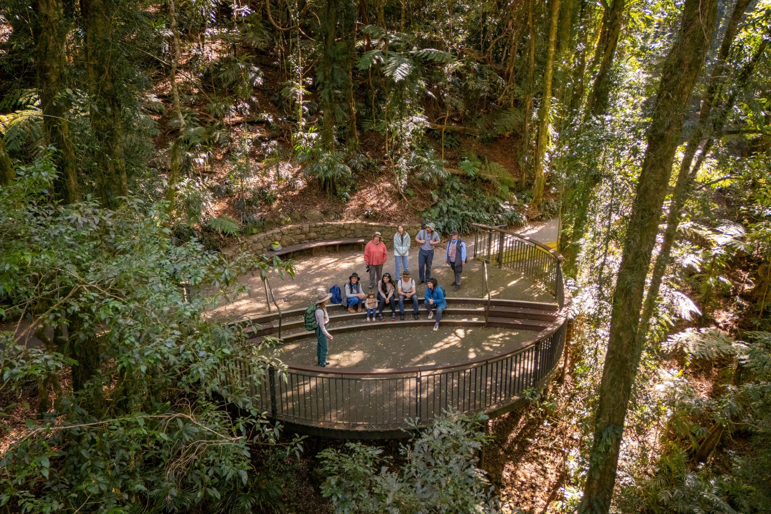 NPWS Dorrigo.jpg