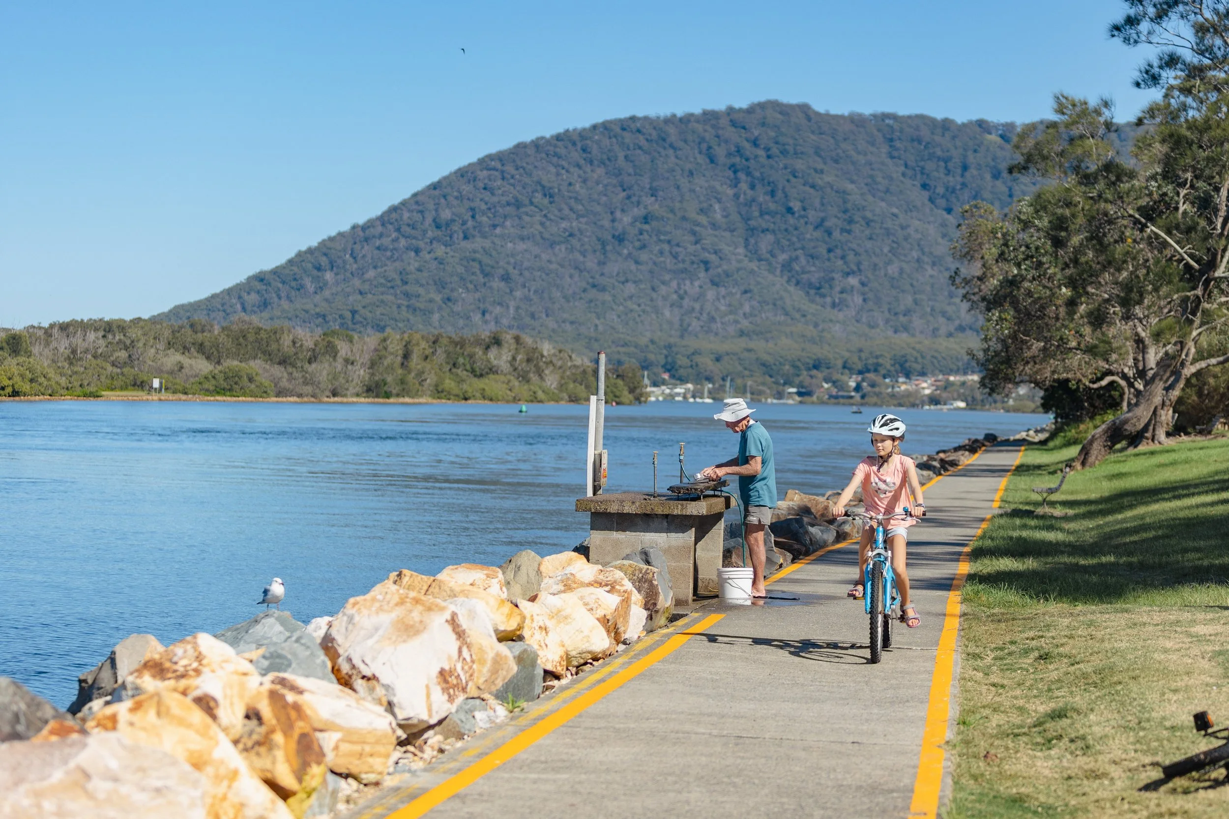 A man and a girl riding bikes along a lakeside park path, with a mountain in the background, trees on the side, and a seagull perched on rocks near the water.