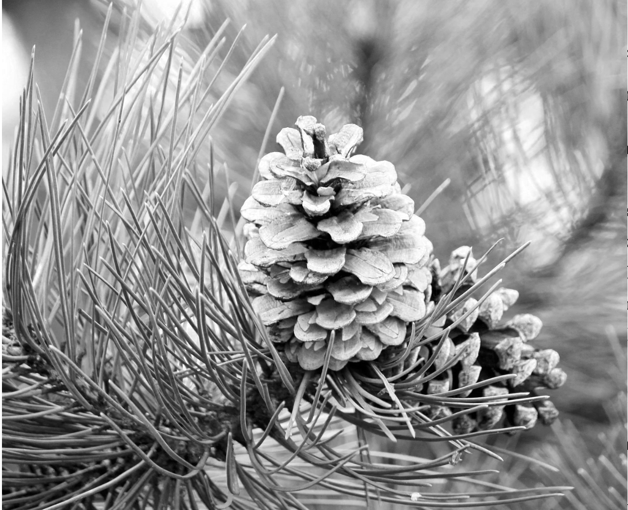 Intro: The Partnership On-Ramp