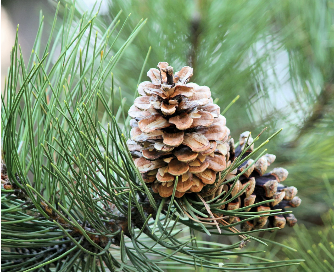 Screenshot 2025-12-19 at 11.47.00 AM.png