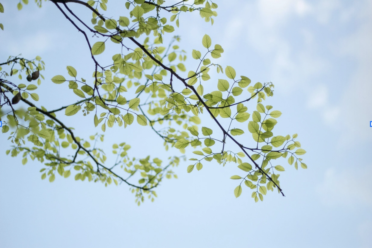 Stewardship Partnership: Ongoing Evolution