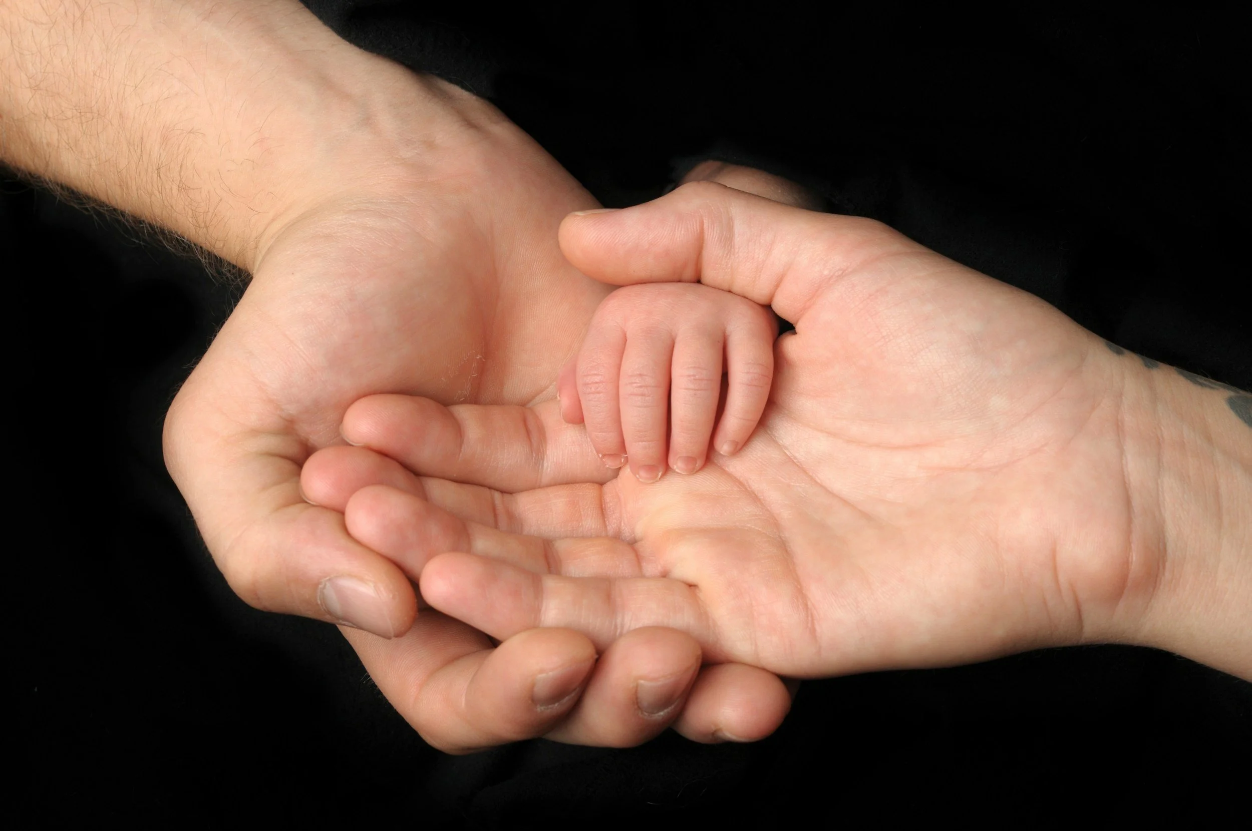 Close-up of a baby's hand holding an adult's hand.