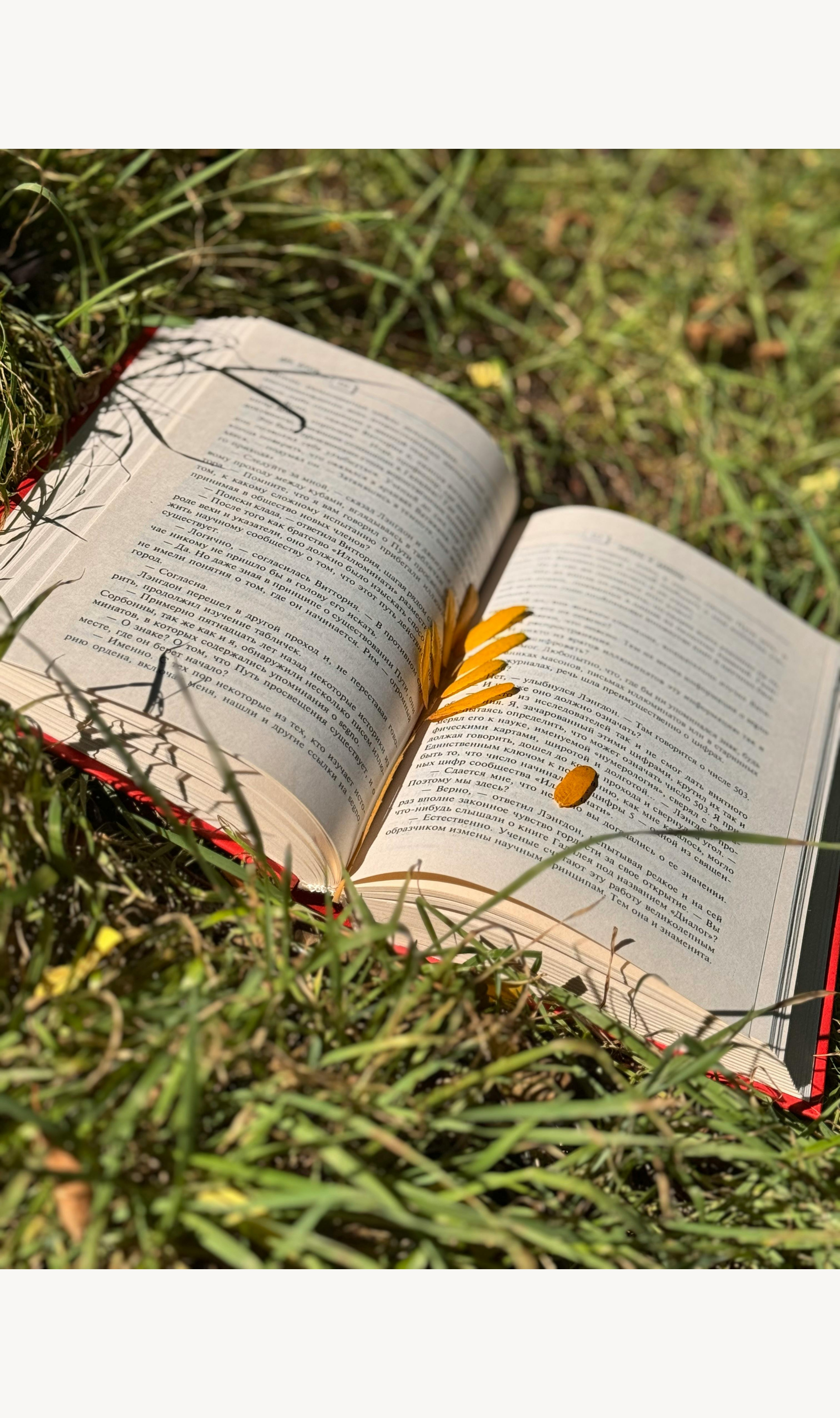 An open book resting on grass with yellow flowers placed on the page, surrounded by green grass and natural outdoor setting.