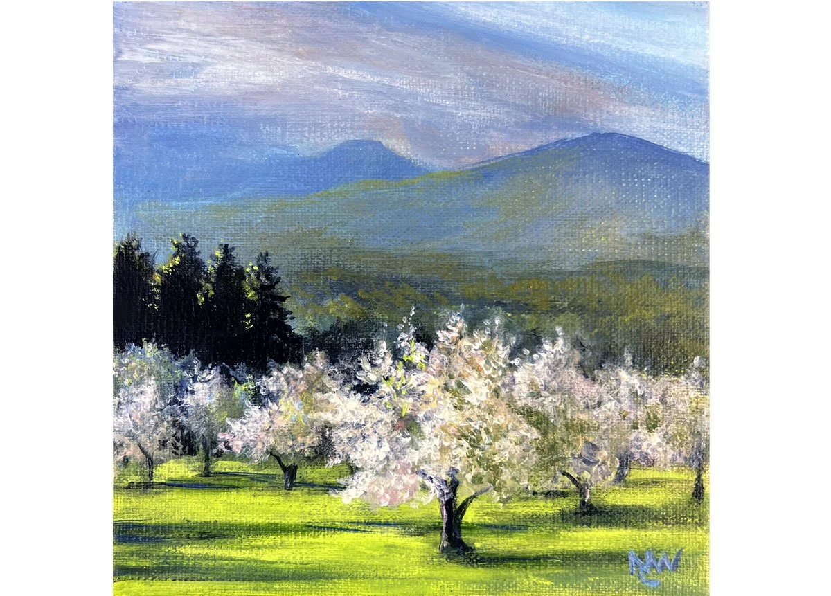Tasker Hill Road Orchard in Spring (sold)