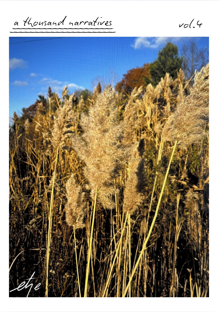 Screenshot 2026-04-08 at 11.23.57 AM.png