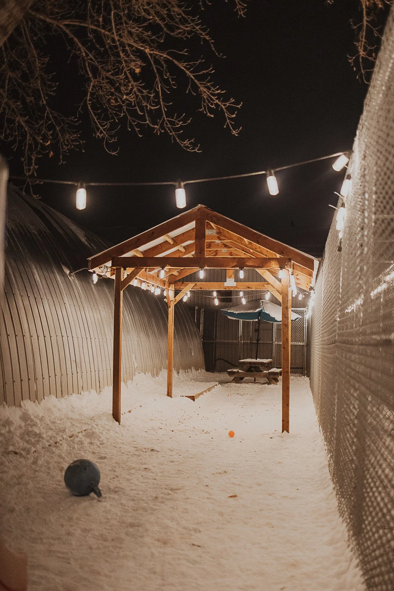 One of our outdoor yards in our small/medium dog area