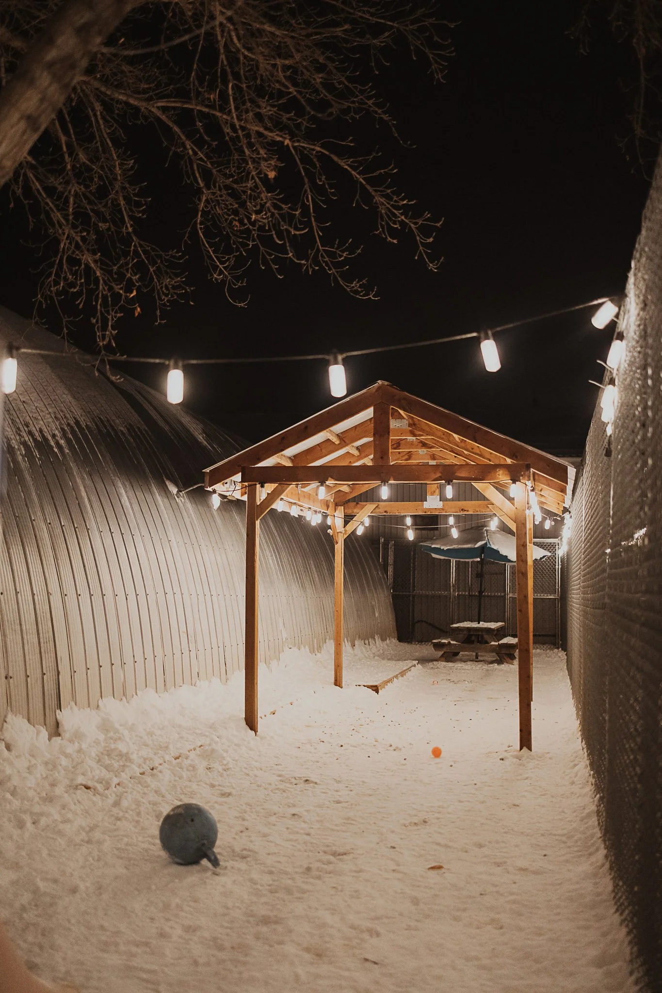 One of our outdoor yards in our small/medium dog area