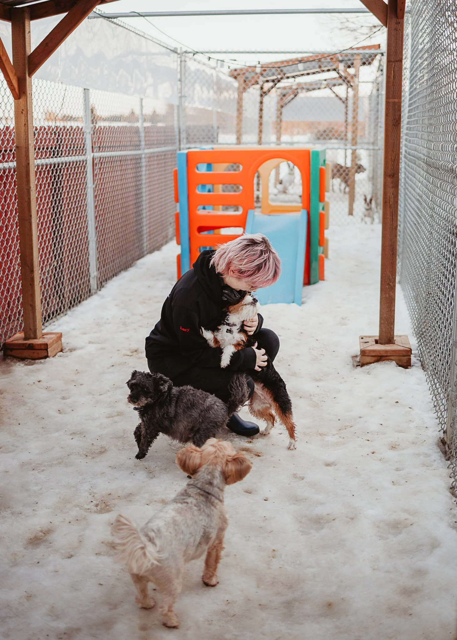 One of our outdoor yards in our small/medium dog area