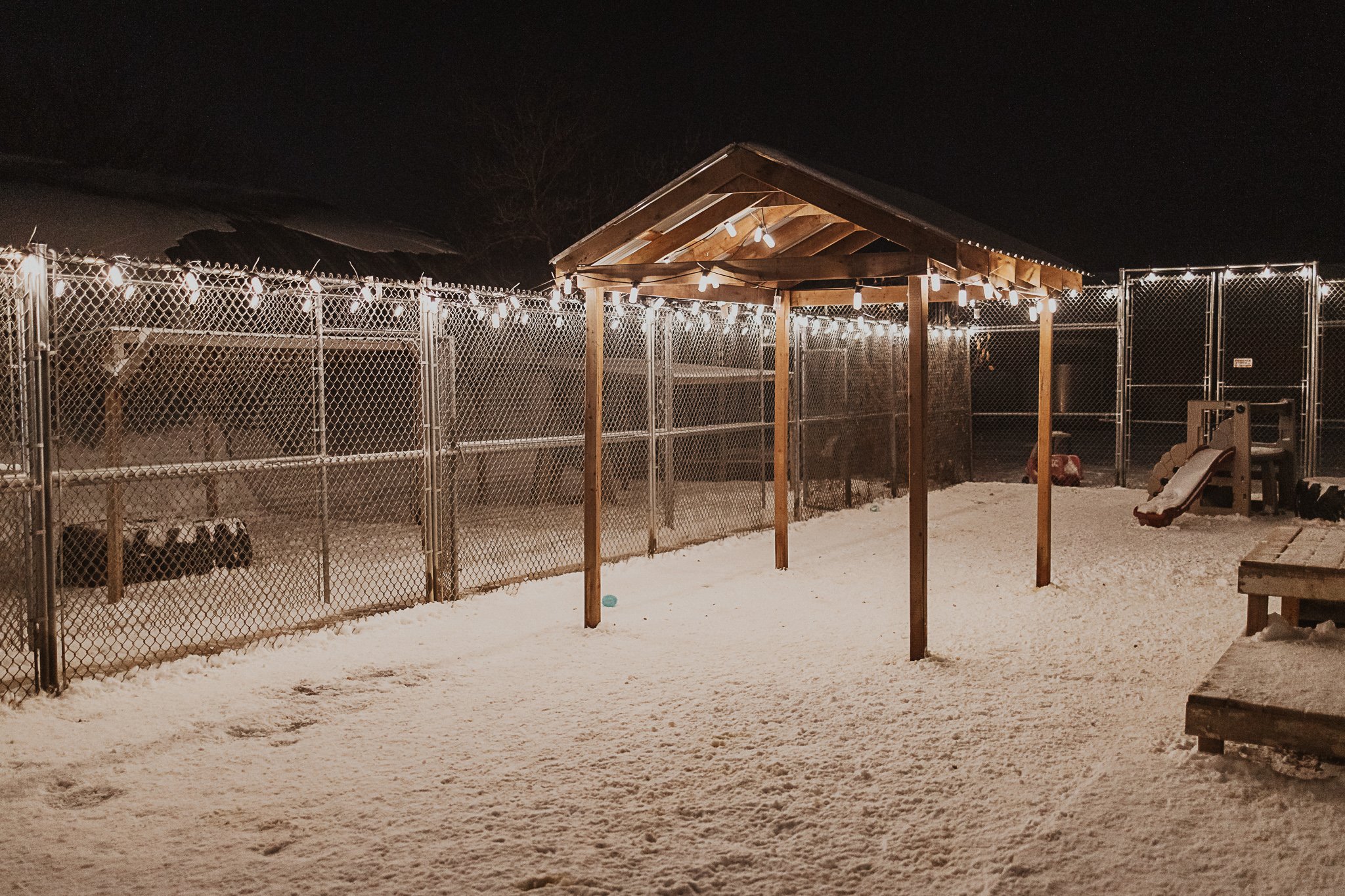 One of our outdoor yards in our large dog area