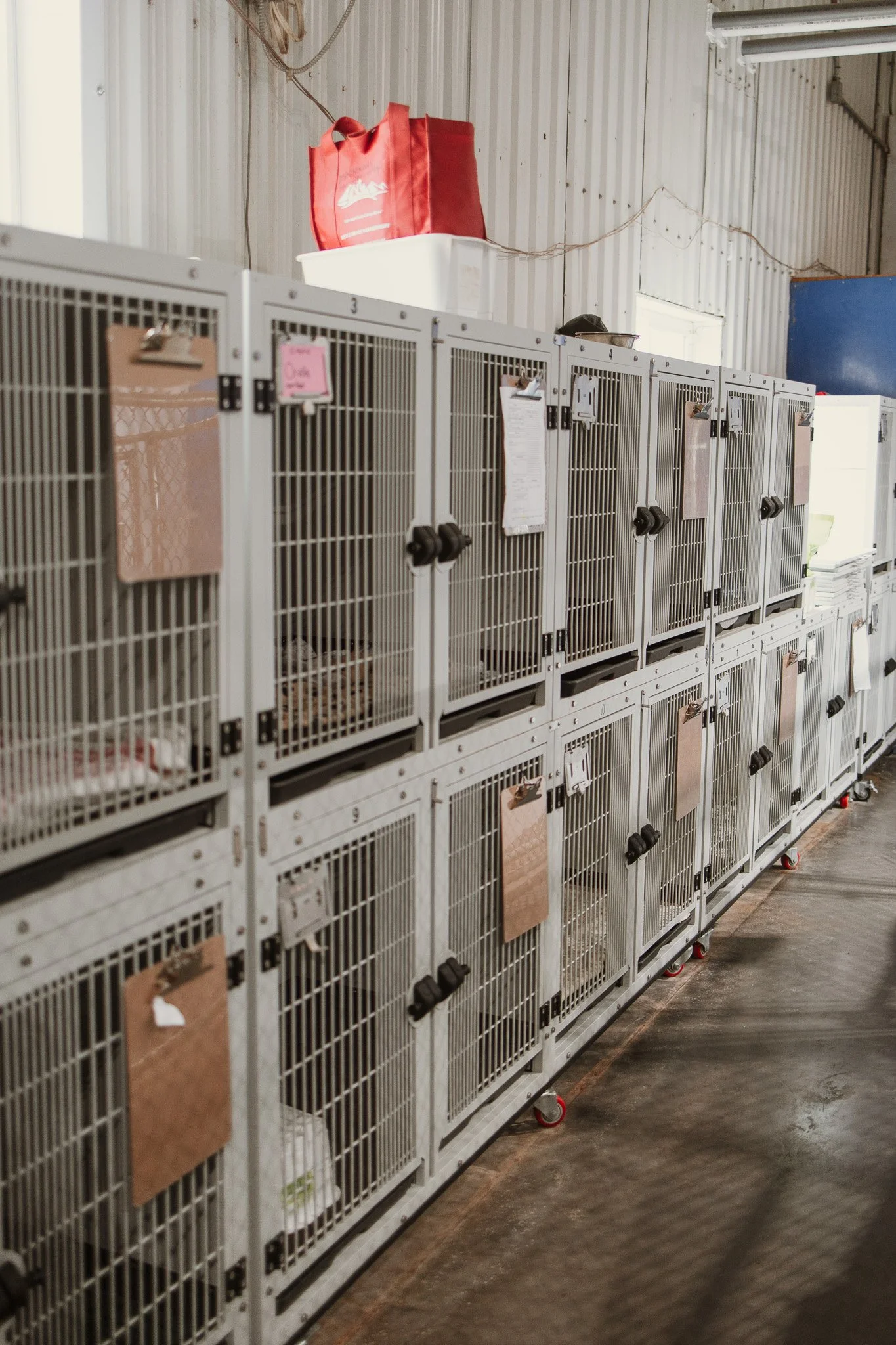 The small kennel area of our small/medium dog area