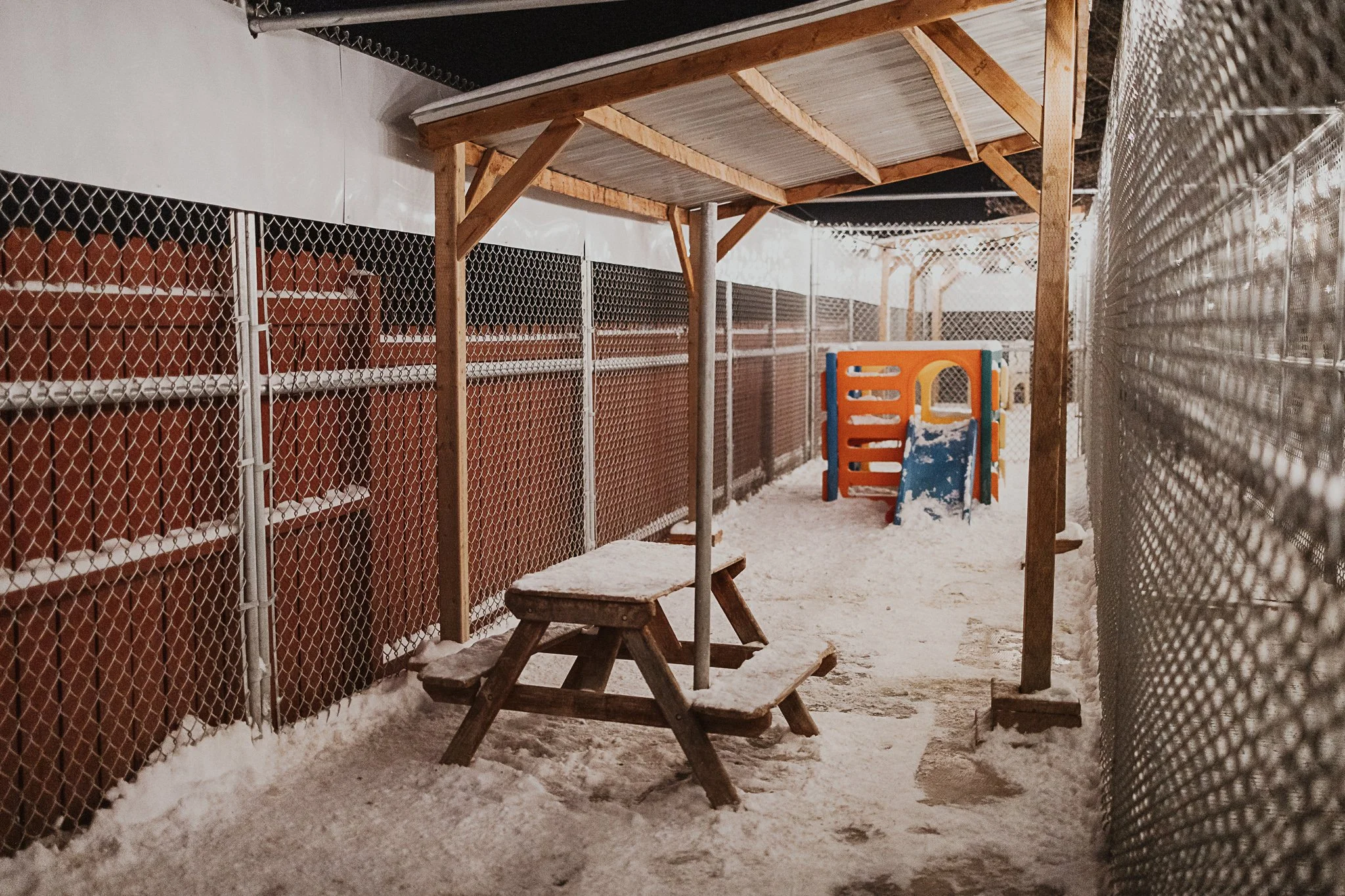 One of our outdoor yards in our small/medium dog area