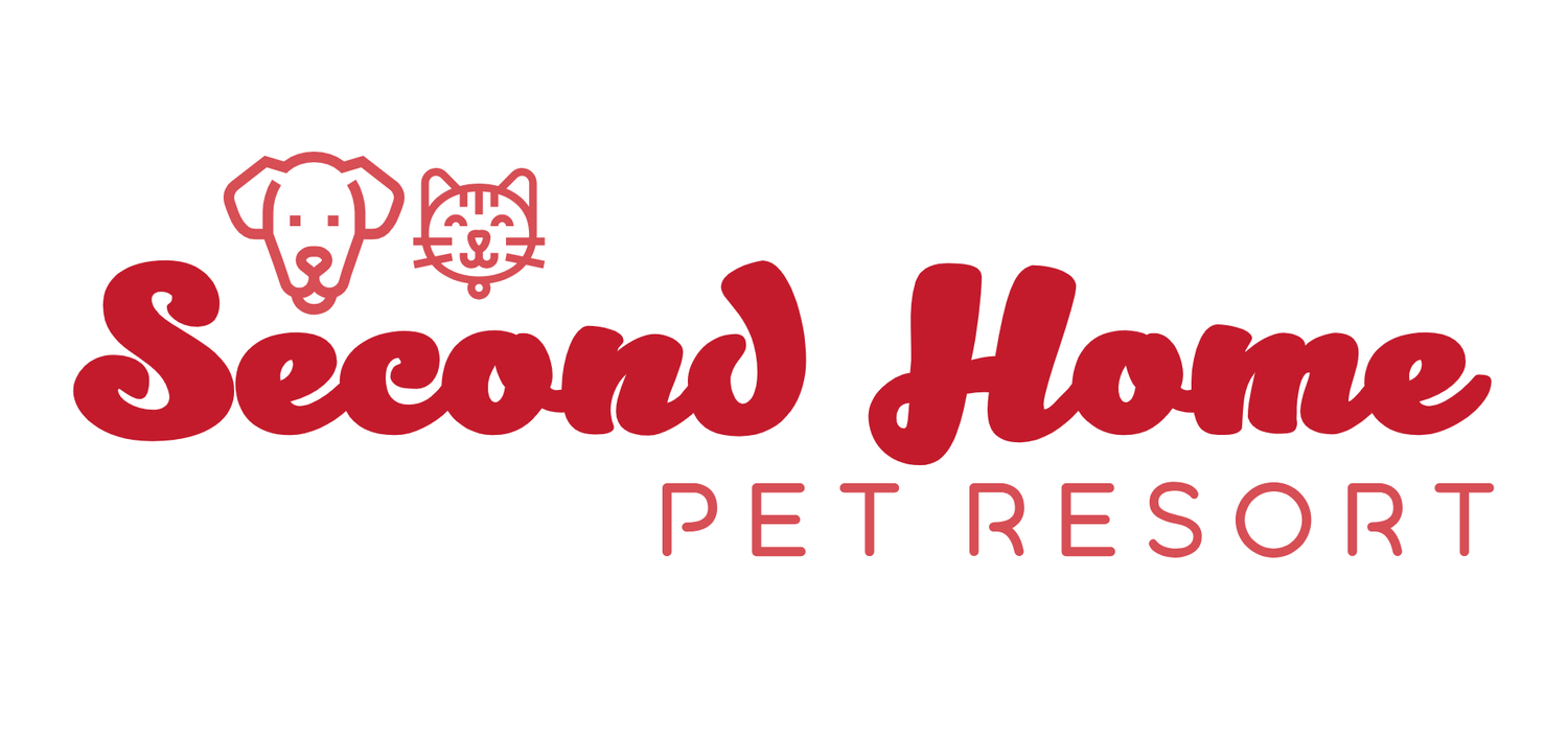 Second Home Pet Resort