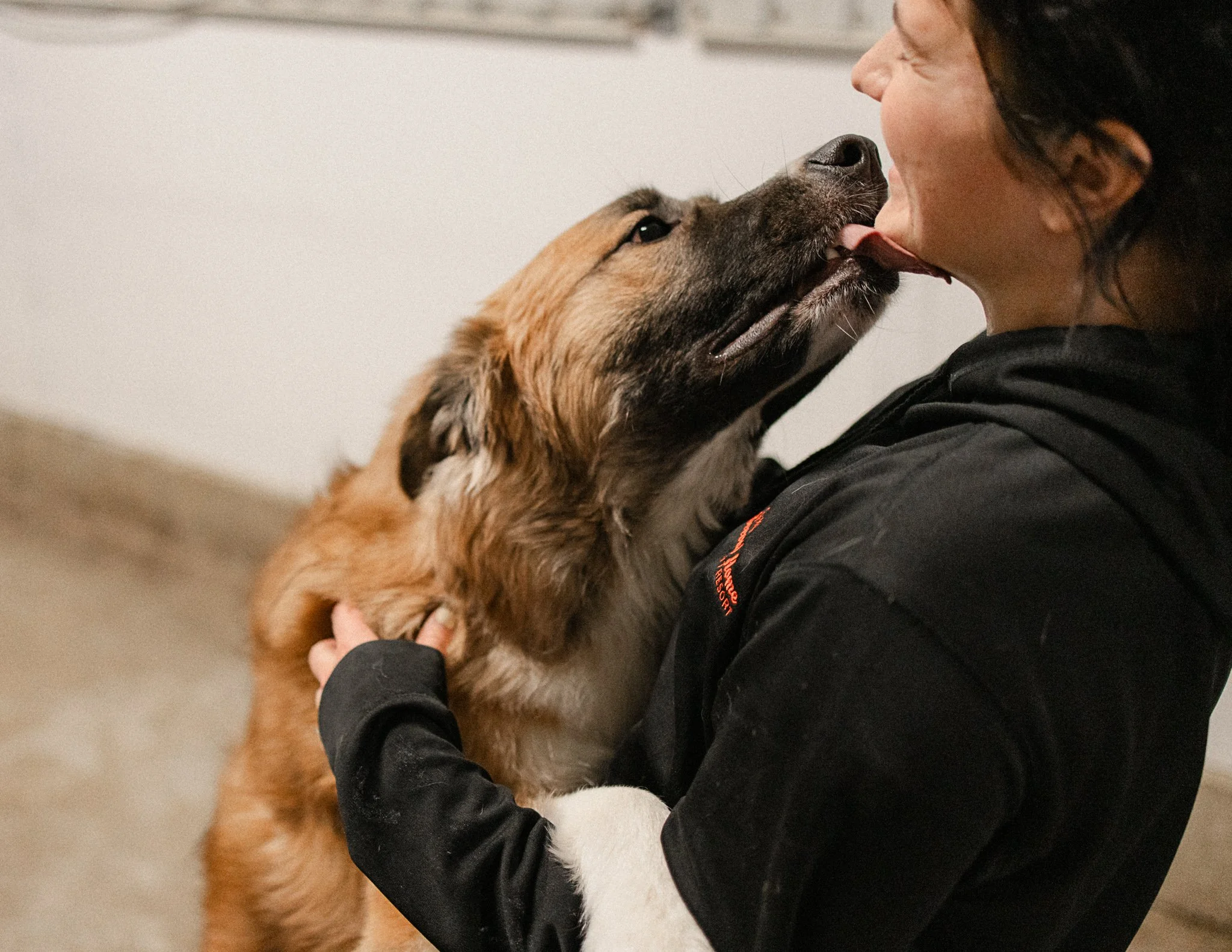 A woman hugging a large, fluffy dog that is licking her face with its tongue.