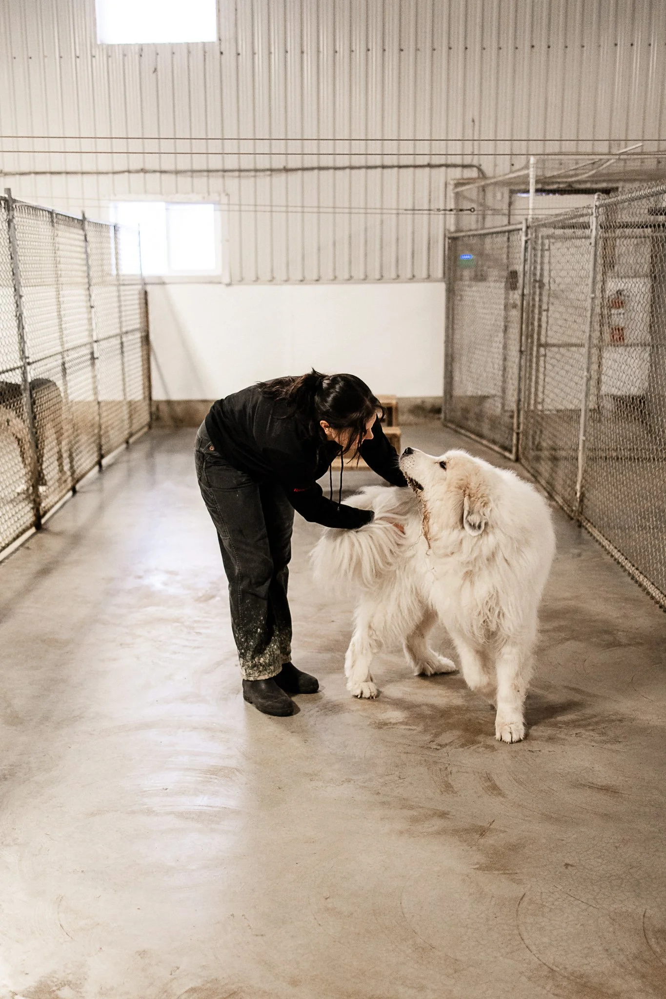 Large dog indoor play space