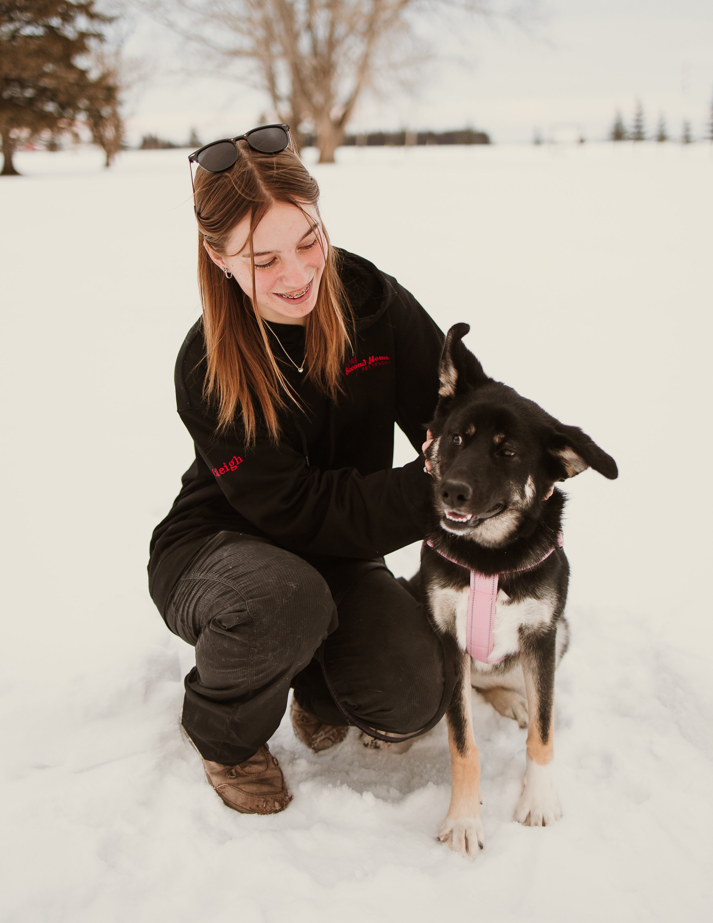 A woman kneeling in the snow and smiling while petting a black and white husky dog with a pink harness outdoors during winter.