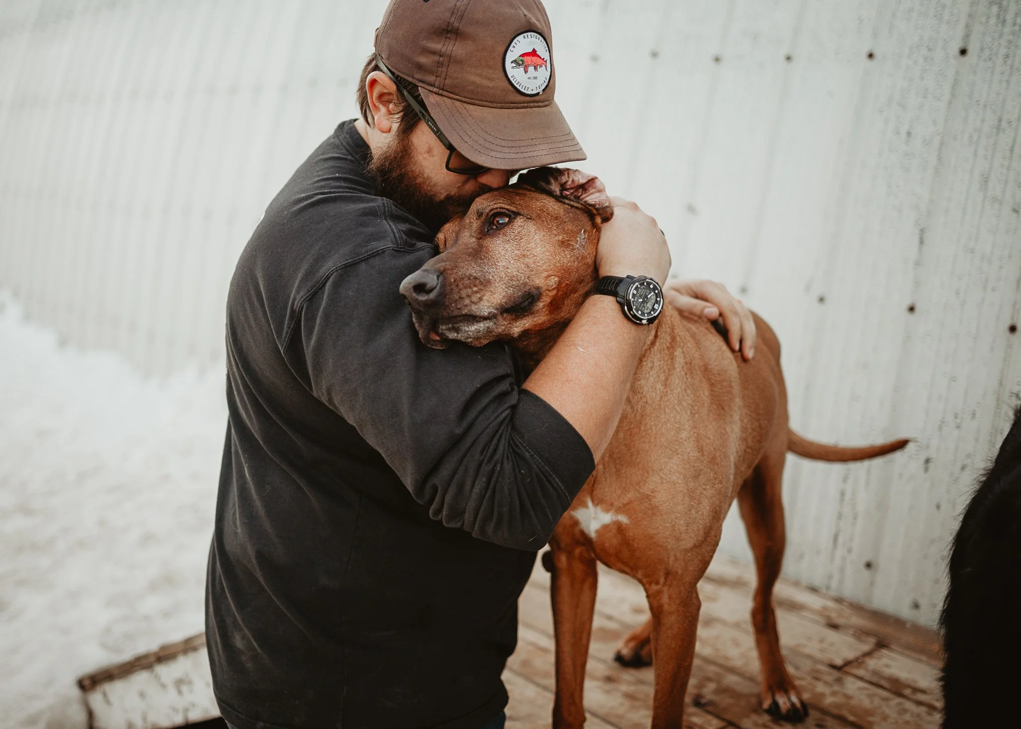 A man hugging and kissing a large brown dog, possibly a Rhodesian Ridgeback, inside a barn or stable with a wooden floor and metal wall.